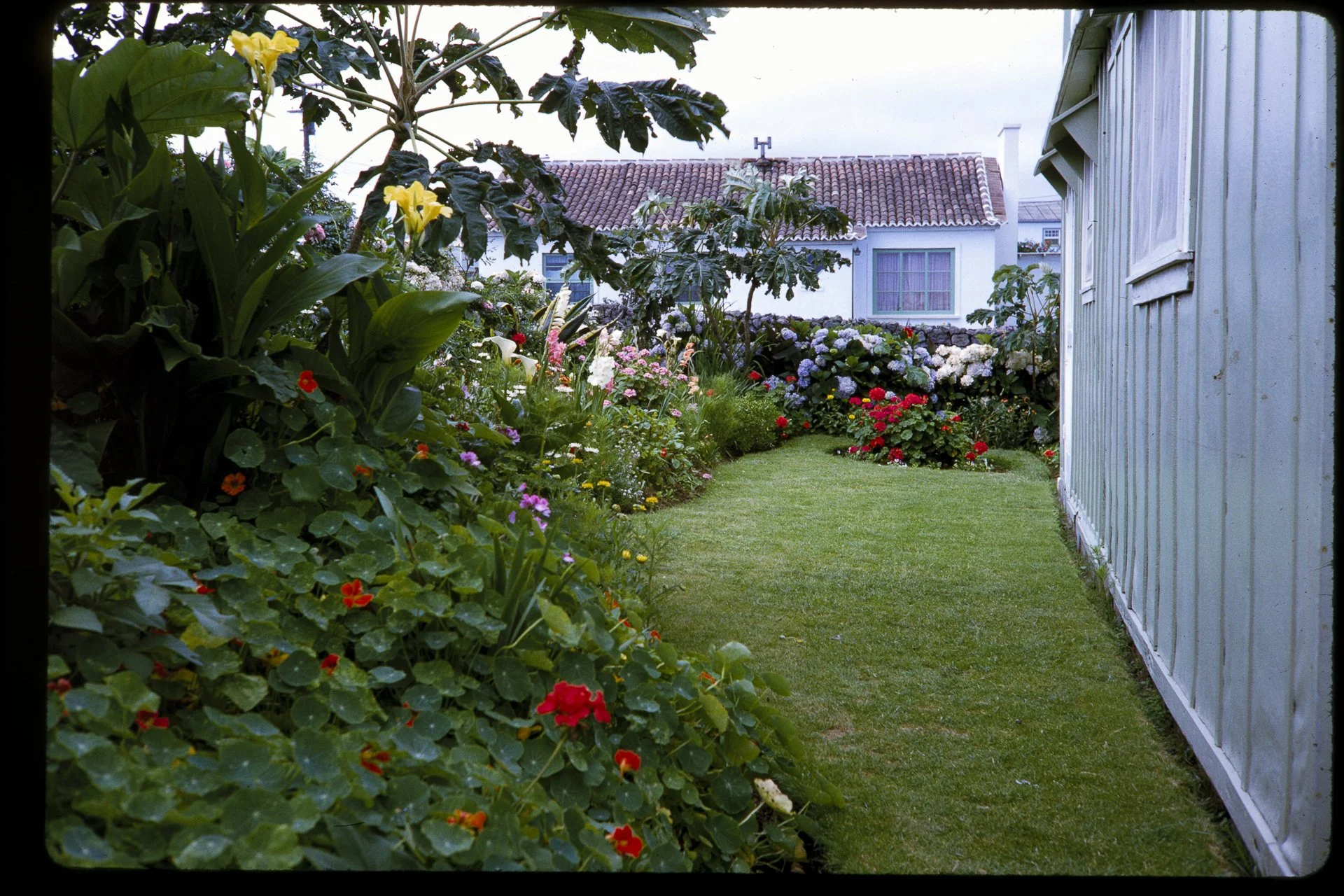 DA_Slide_4-0113.jpg