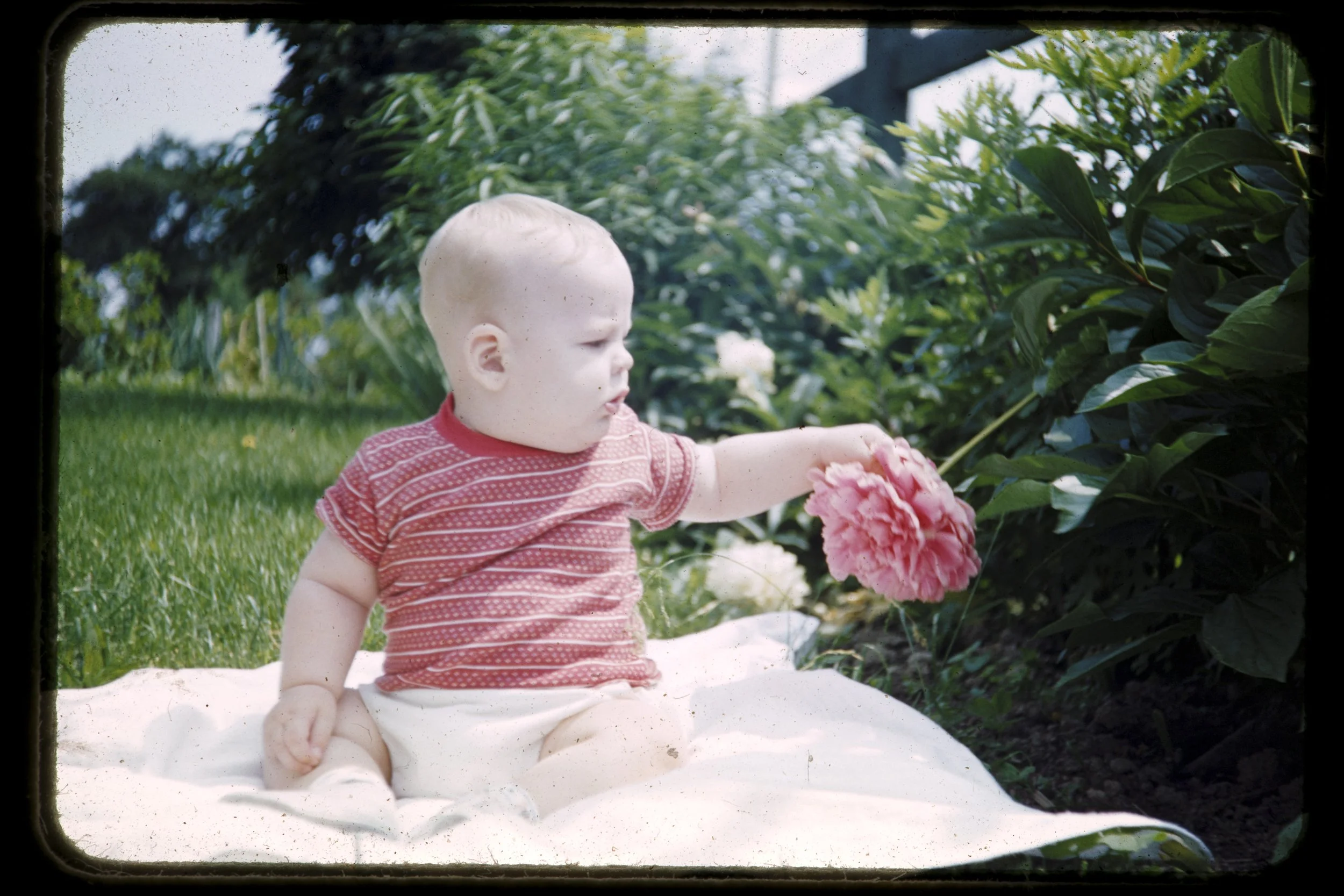 DA_Slides-0023.jpg