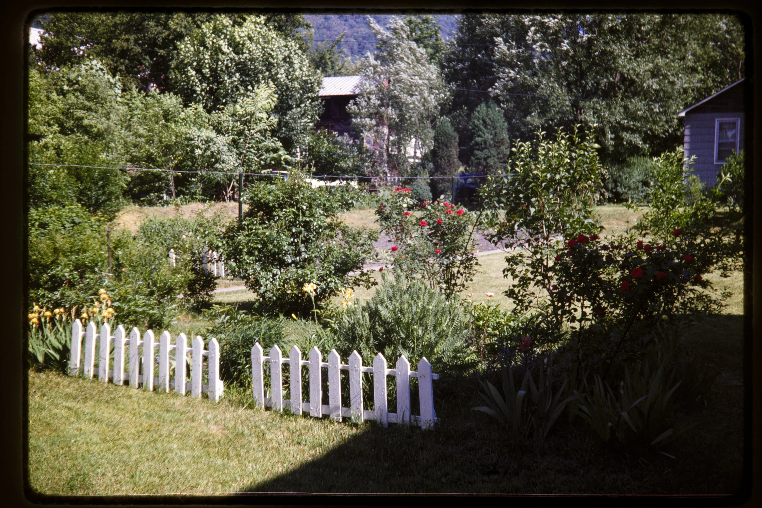 DA_Slides-0070.jpg