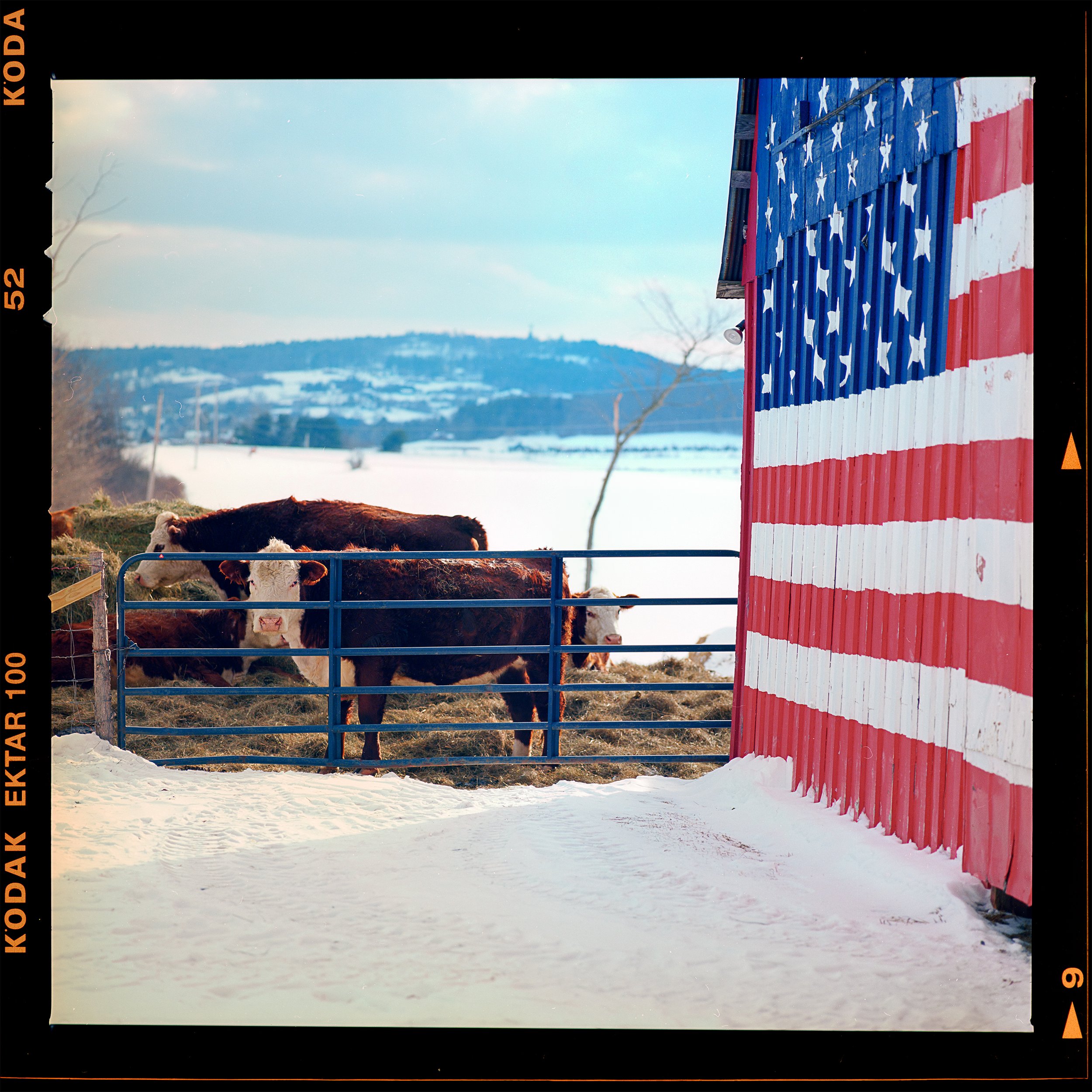 Land That I Love — Kodak Ektar 100