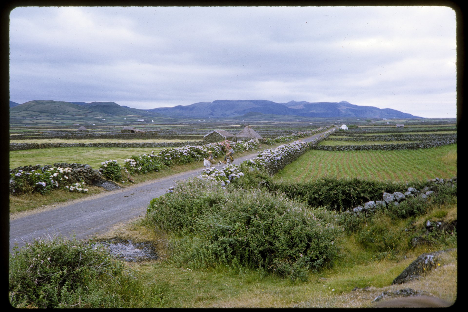 DA_Slide_4-0120.jpg