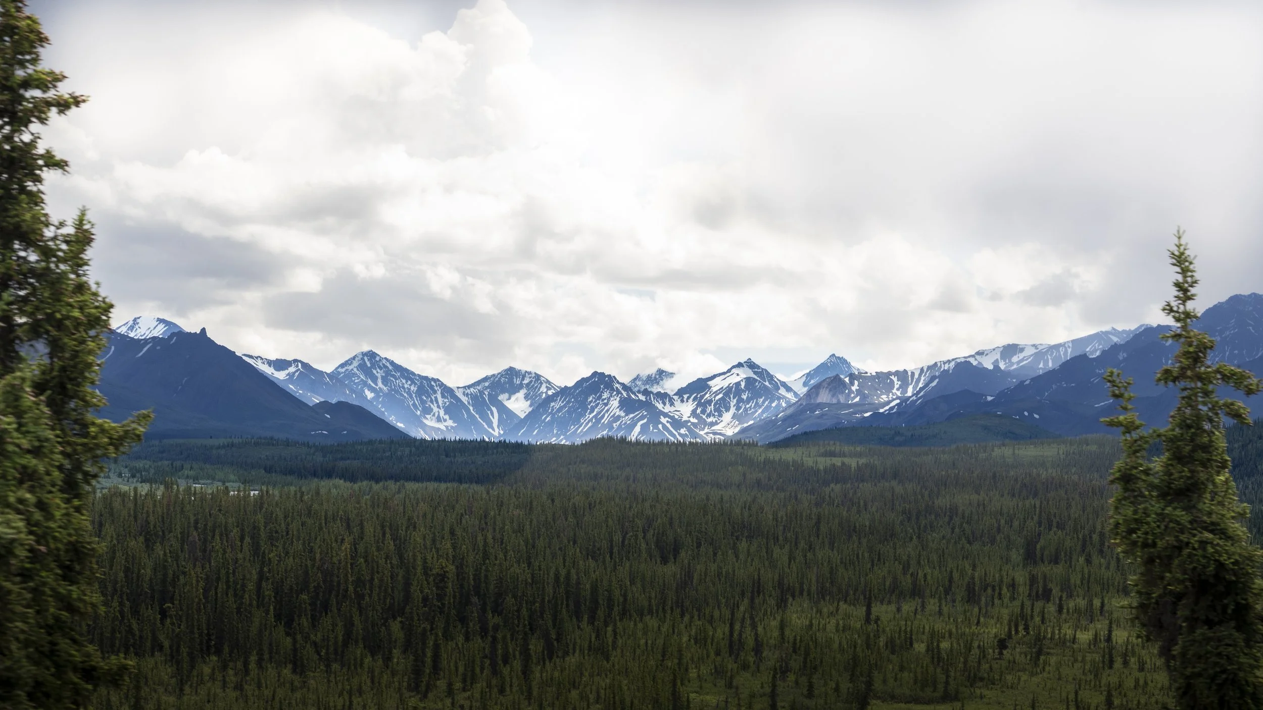 _DSC6751.jpeg
