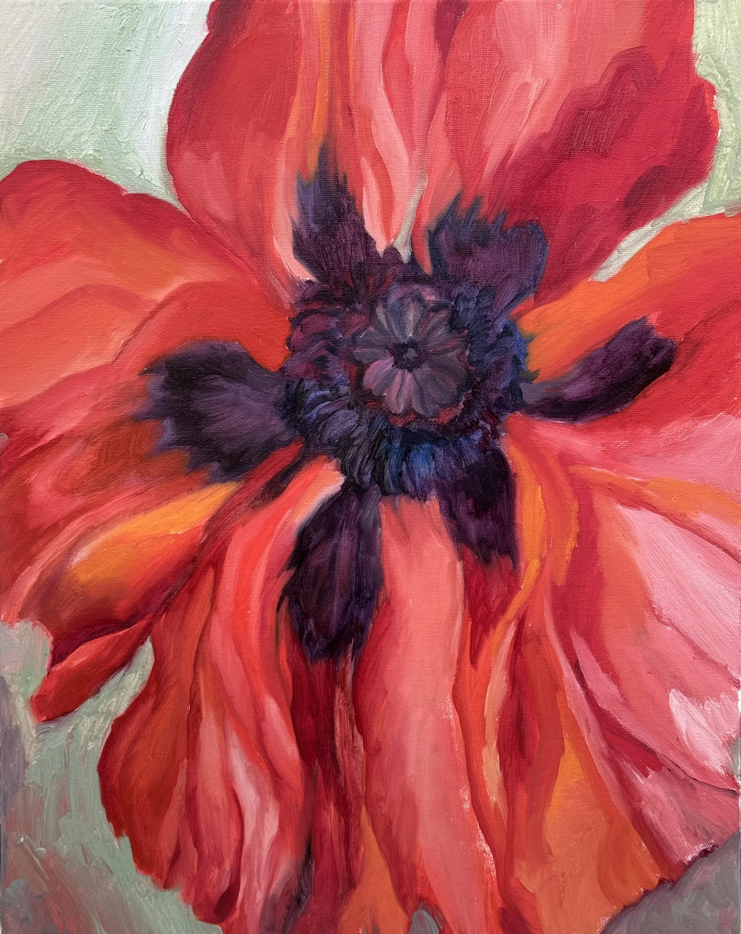 Red Poppy, 2025. 

Oil on canvas. 20"x16" SOLD

