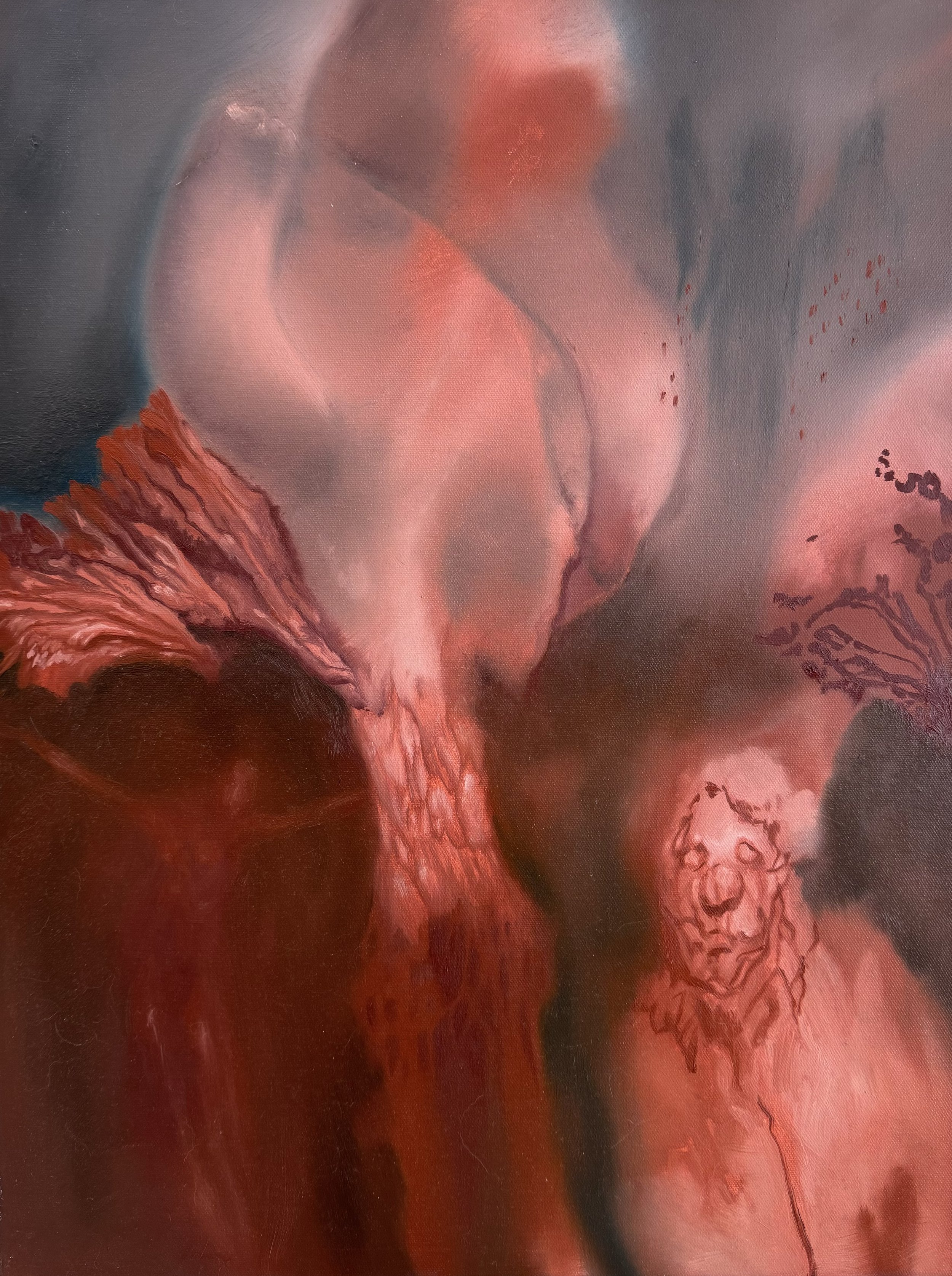 Magnolia, 2023.
Oil on canvas, 28''x 22''