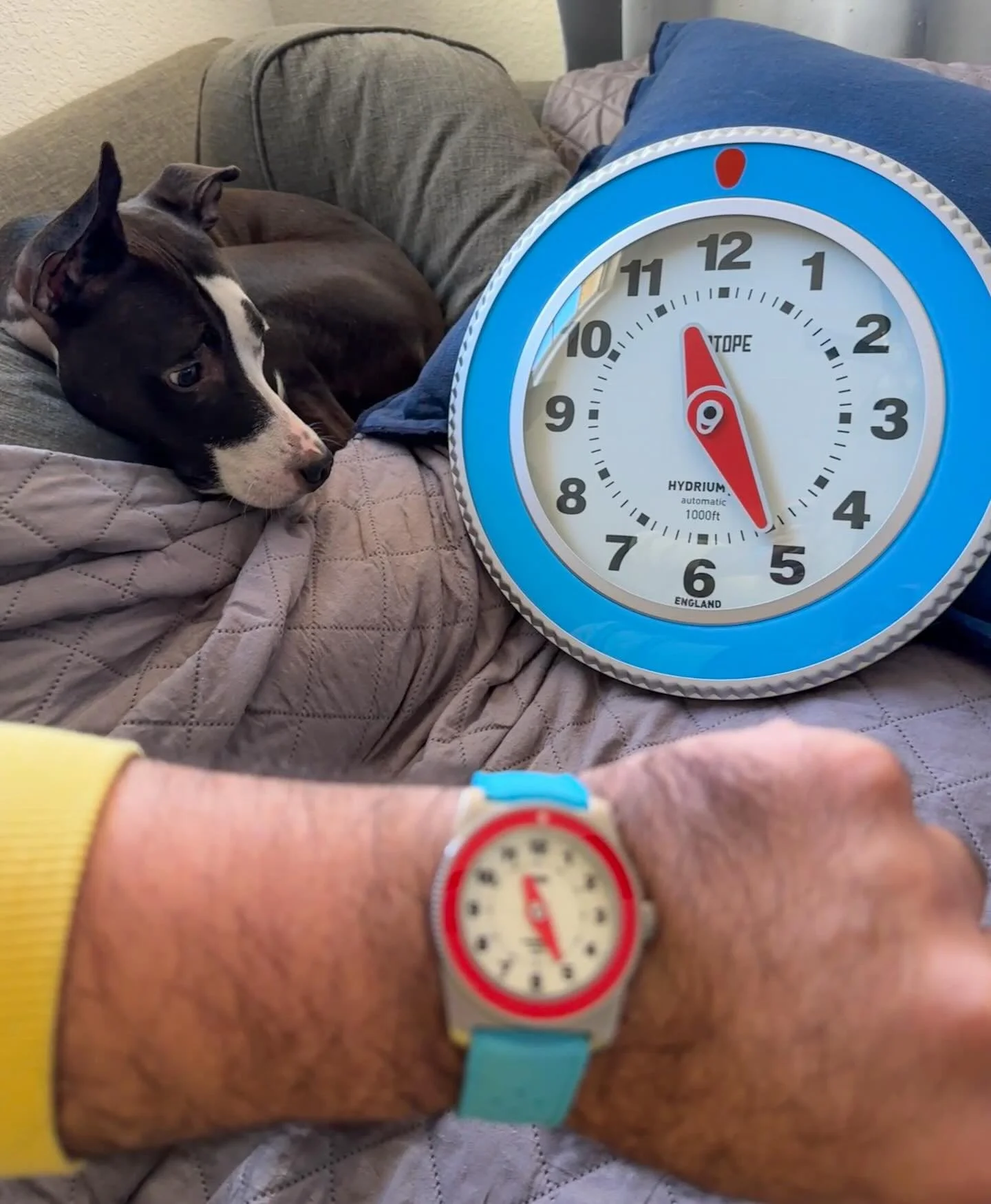 🚨 NCA 🚨 New Clock Alert!

I&rsquo;m the proud owner of an @isotopewatches Wall Return Hydrium Wall Clock!  If you all remember, I recently wrote an article introducing this clock for @watchgecko .  Proof that I&rsquo;m willing to put my money where