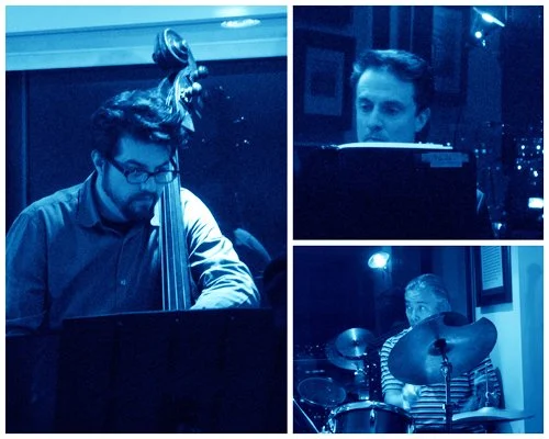 with Jeff Denson (bass) and Kelly Park (drums), private house concert. San Francisco, California, May 16th, 2015.
(photo credit: Torbie Phillips)