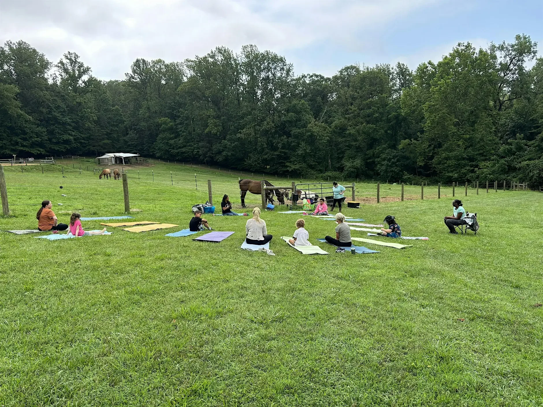Mindfulness With the Herd Session 2