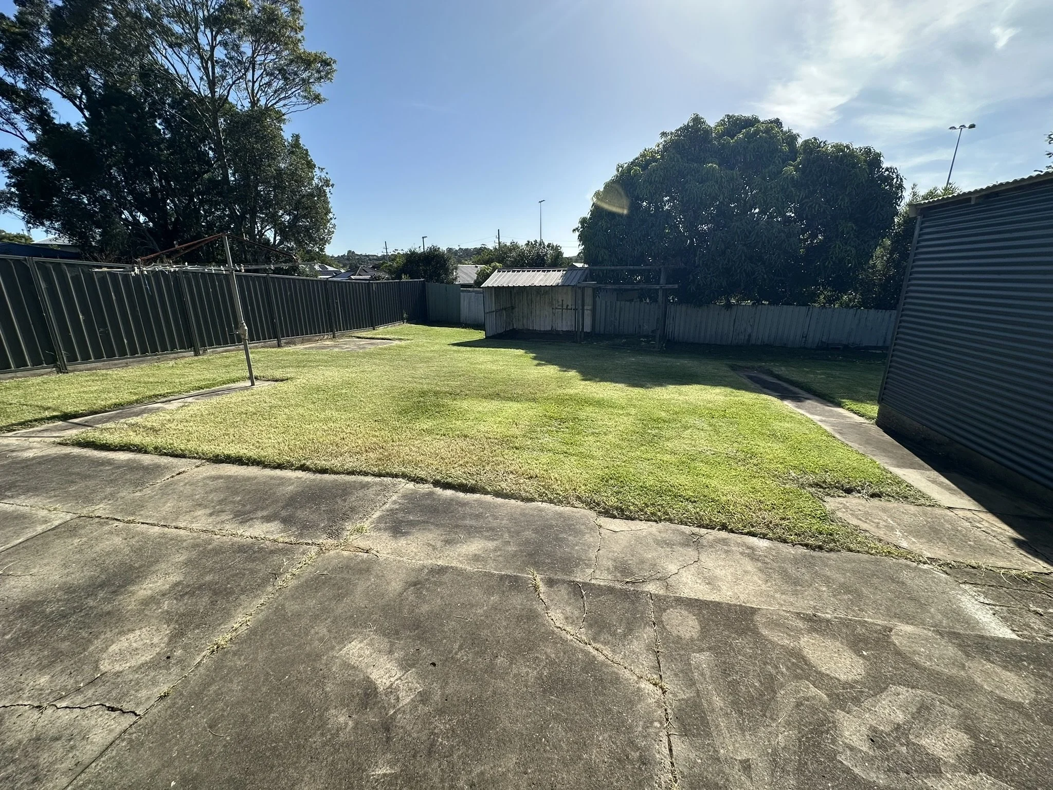Lawn Tidy UP Jesmond After.JPEG