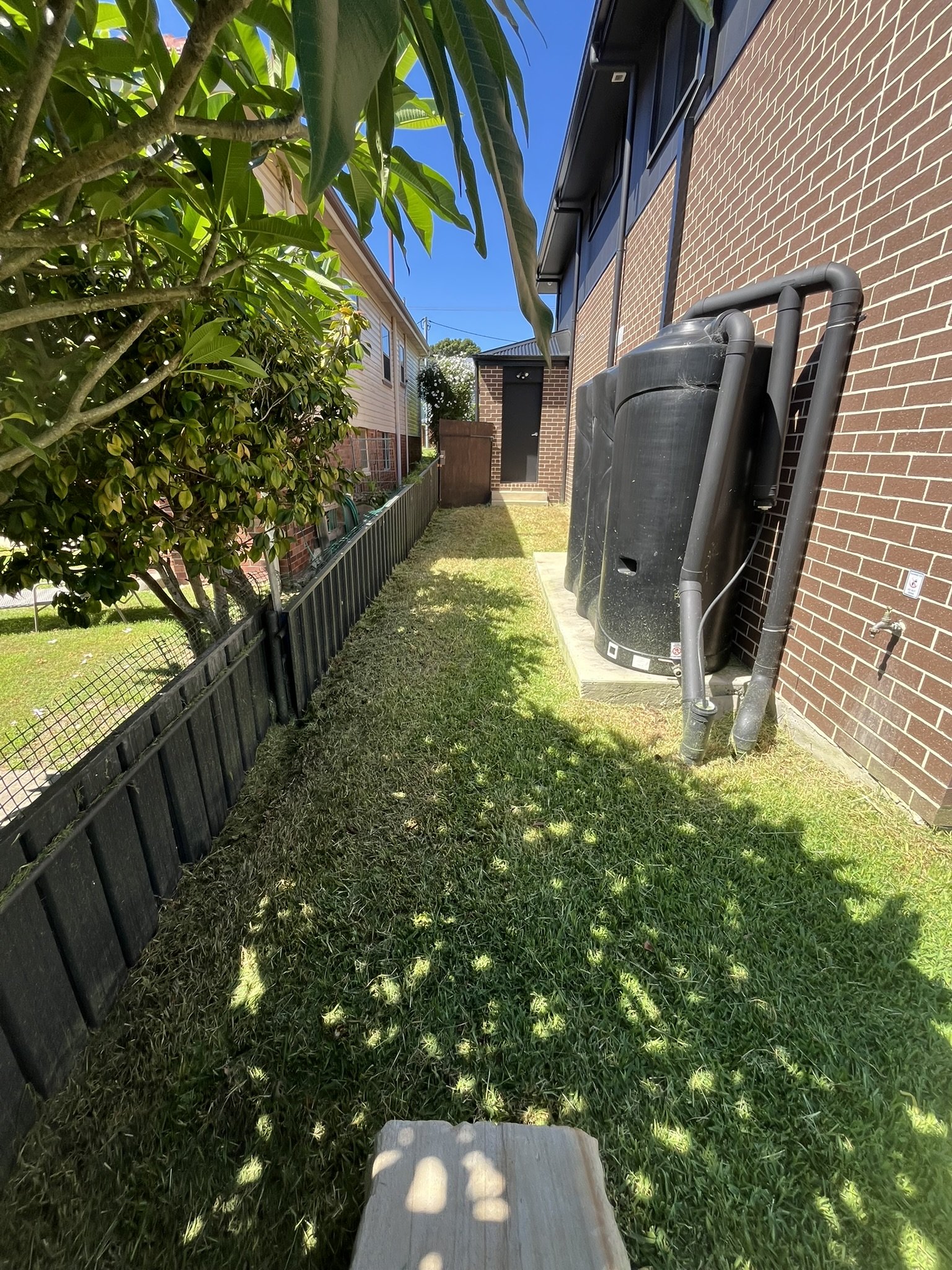 Grass Cutting Waratah.JPEG