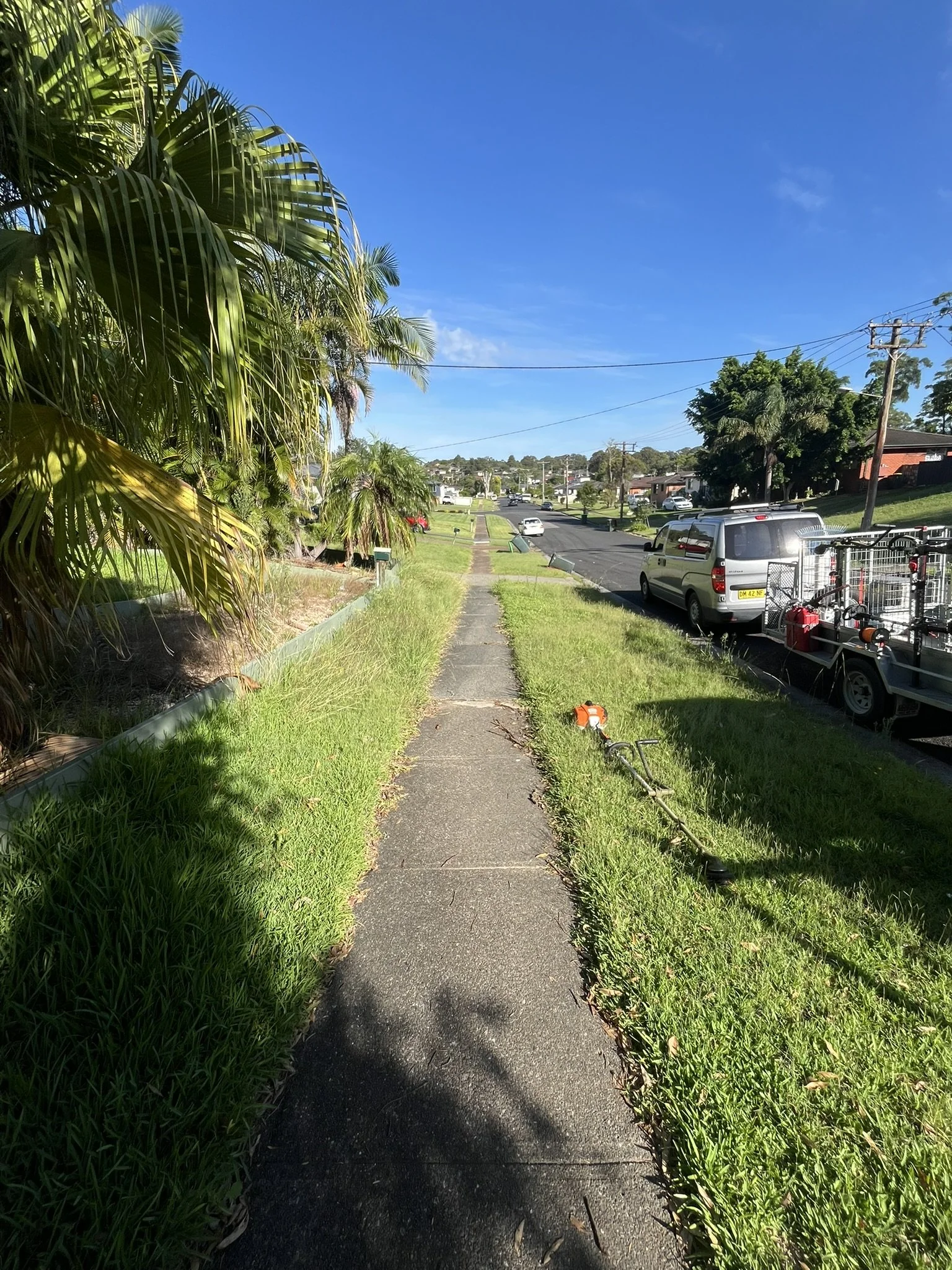 Lawn Mowing Overgrown Wallsend.JPEG