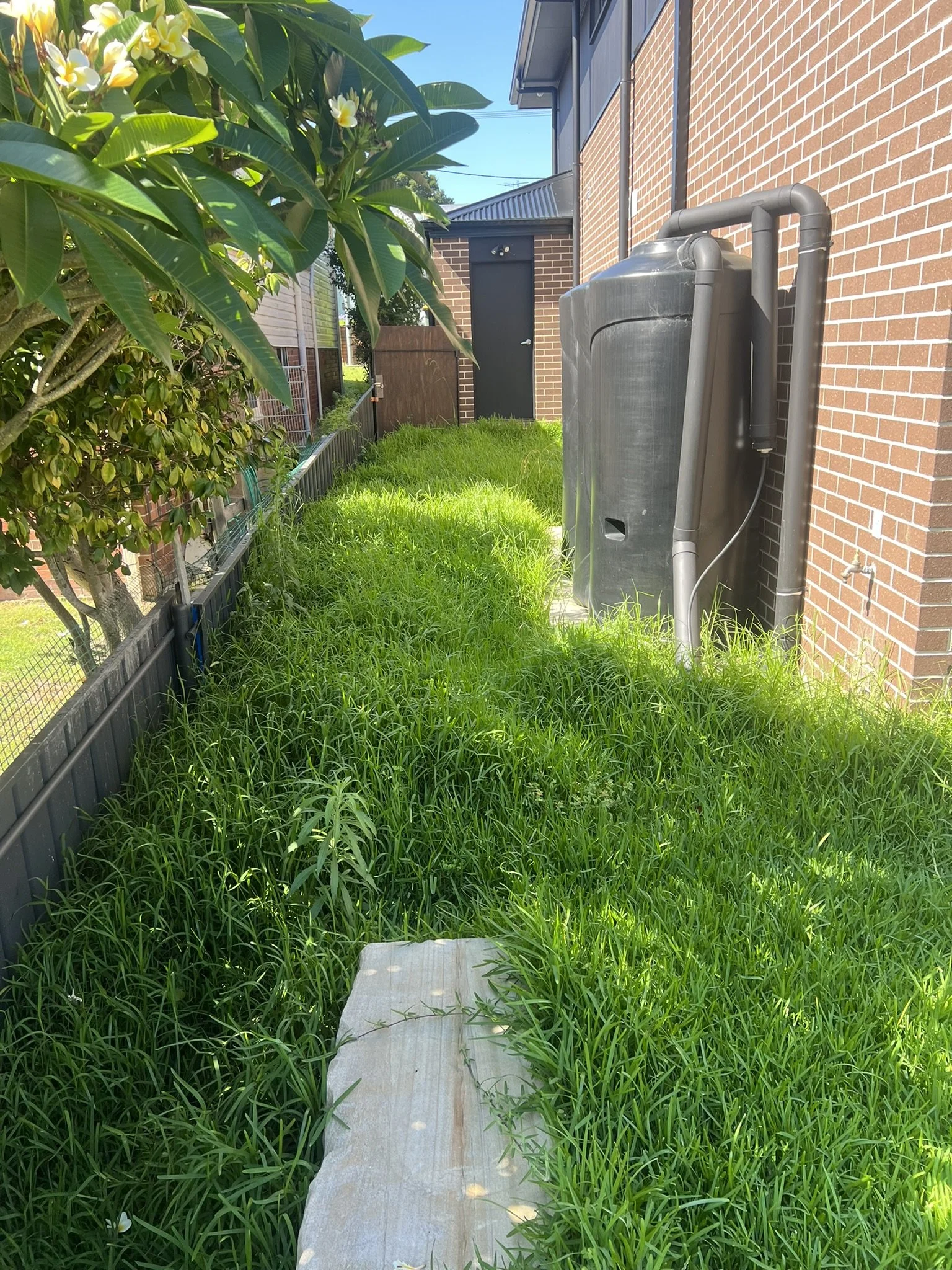 Lawn Cutting Cardiff South.JPEG