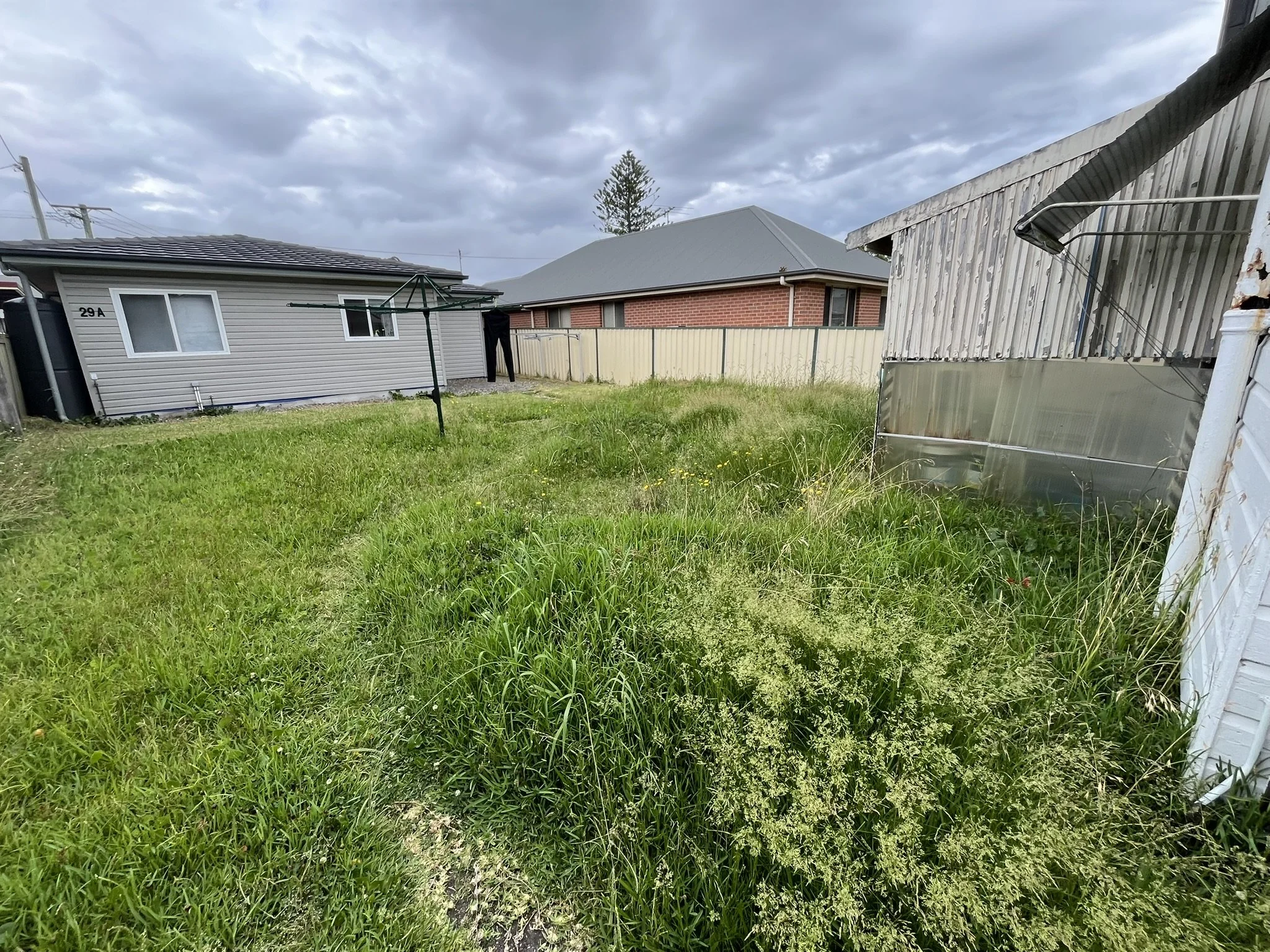 Lawn Care New Lambton Before.JPEG