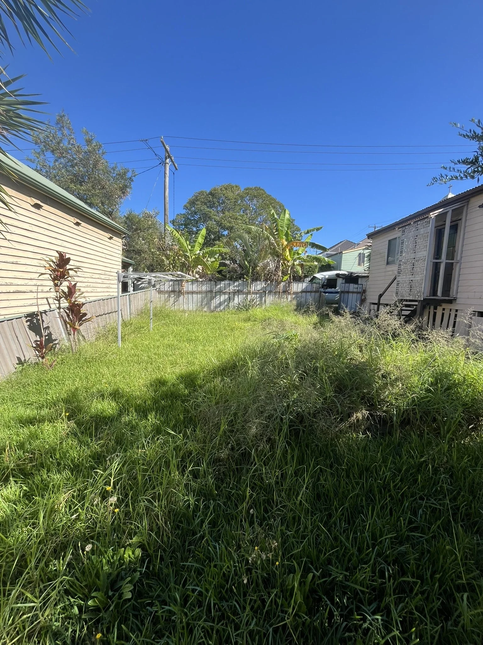 Mayfield Before.JPEG