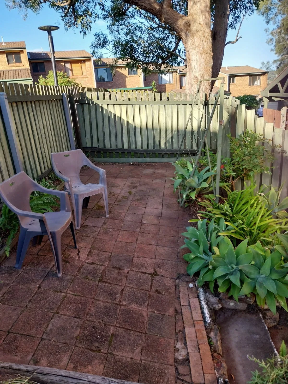 Garden Tidy UP Adamstown Heights After.JPEG