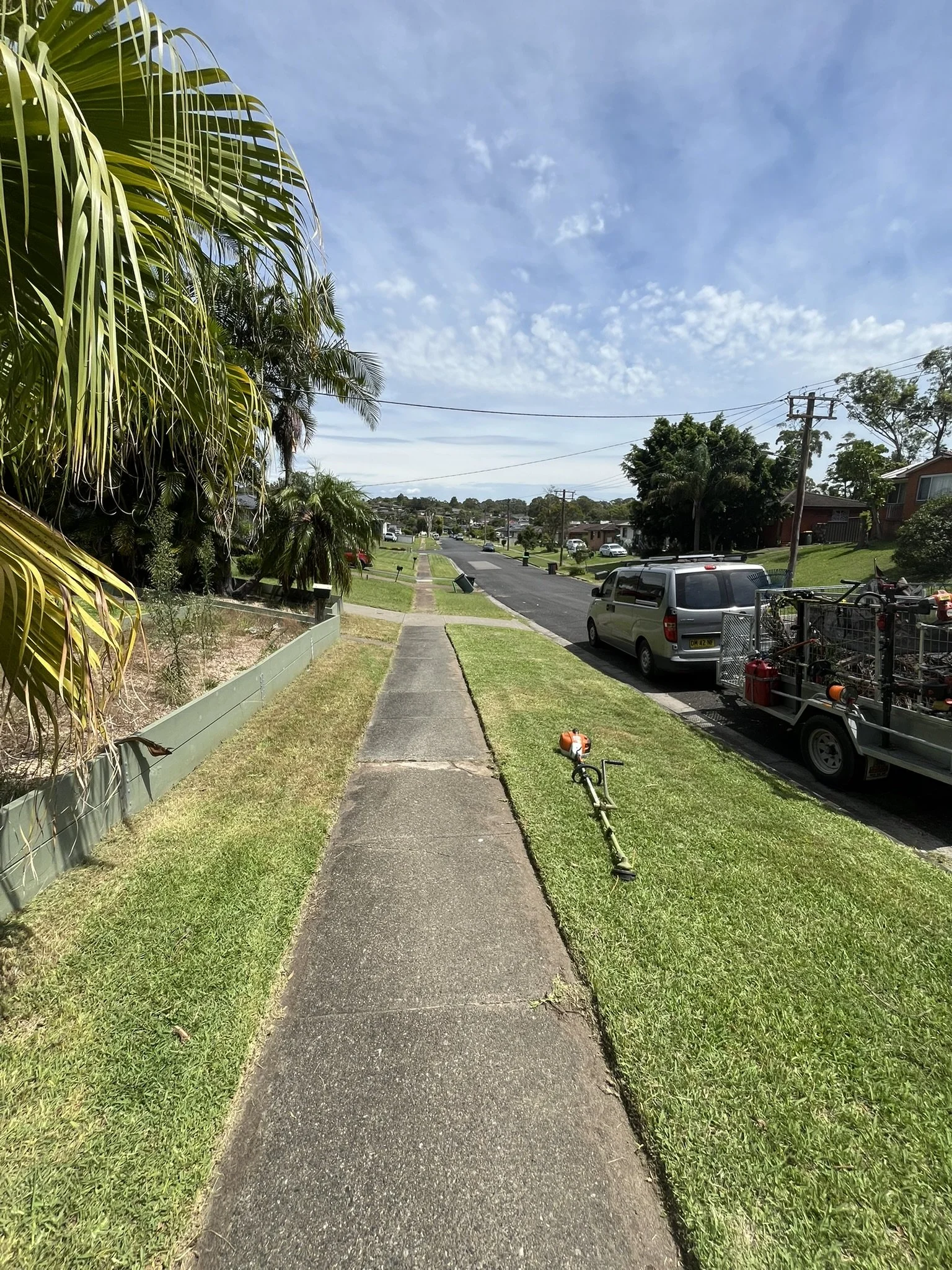 Lawn Tidy Up Wallsend.JPEG