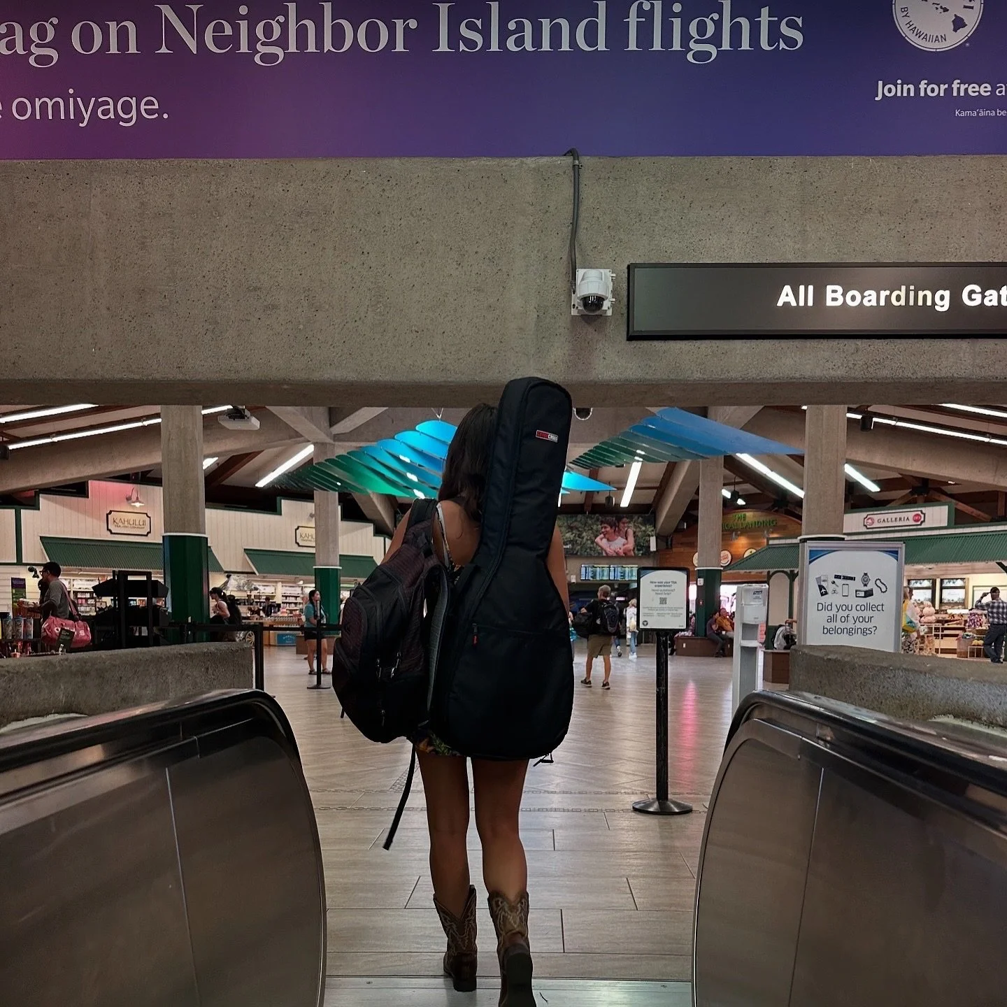 Maui dump!! 🤠🌿🦋🎻