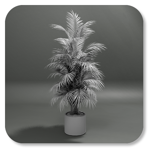 A potted palm tree with long, arching fronds in a simple cylindrical pot.