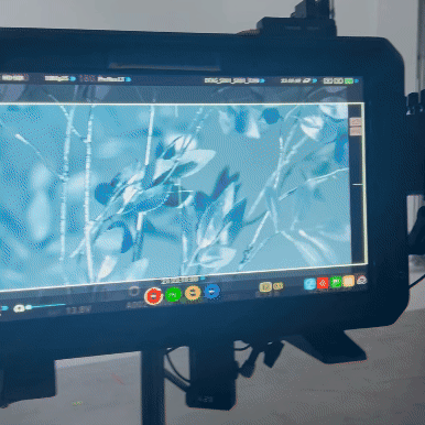 Close-up of a digital monitor displaying a blue-tinted image of plants or grass, with various editing icons and controls visible on the screen.