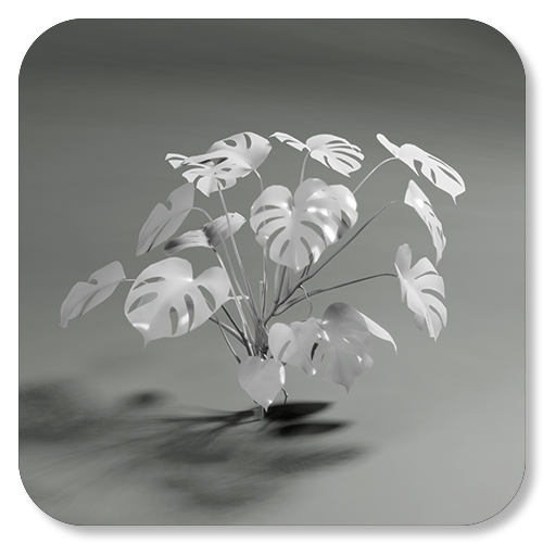 A monochrome photo of a potted plant with large, split leaves, possibly a monstera, on a soft, gradient background.