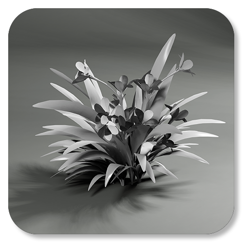 A black and white photo of a potted plant with broad leaves and clusters of flowers or buds.
