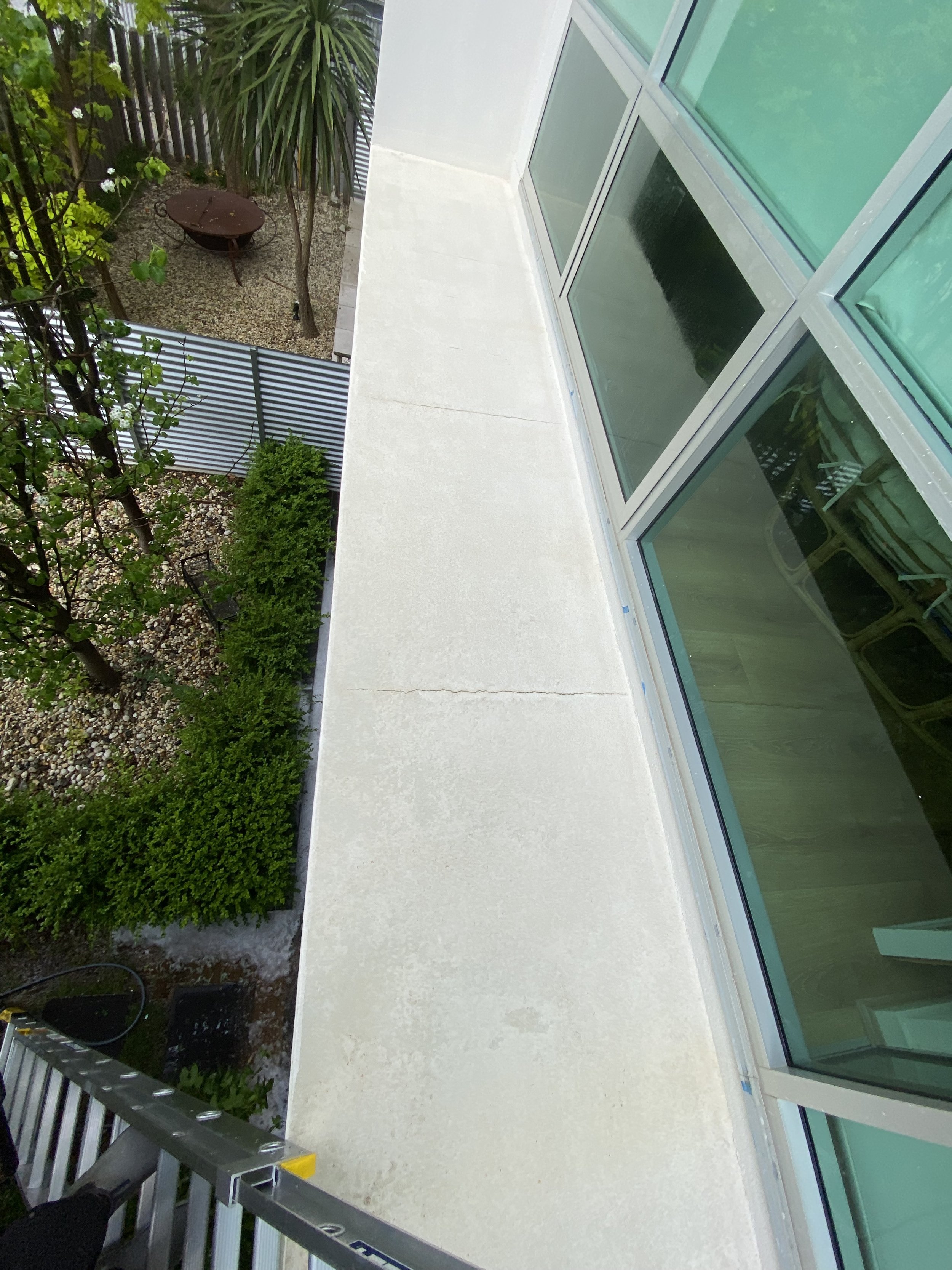 mould removal adelaide