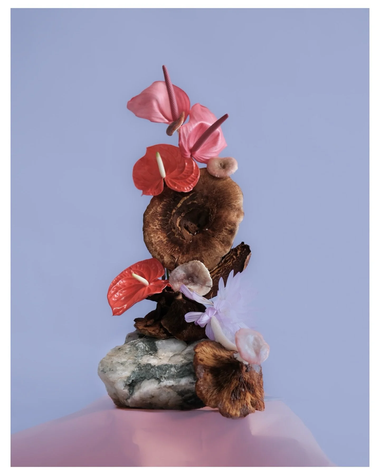 𝗢𝗸𝘁𝗼𝗯𝗲𝗿
4014 𝗦𝘁𝗮𝘃𝗮𝗻𝗴𝗲𝗿