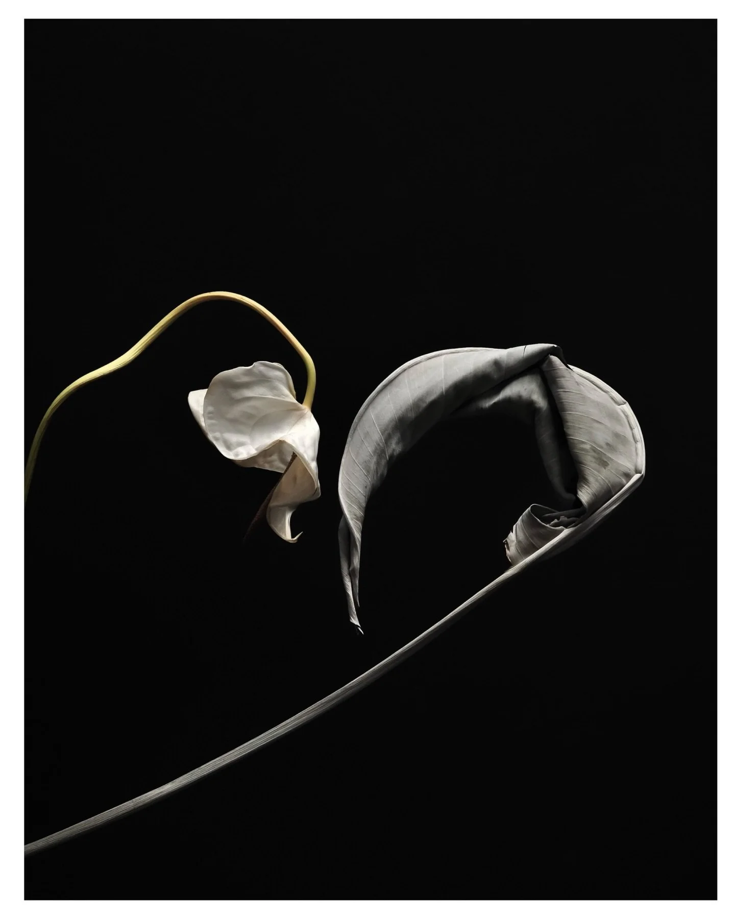 St&oslash;perigata 2023-2026