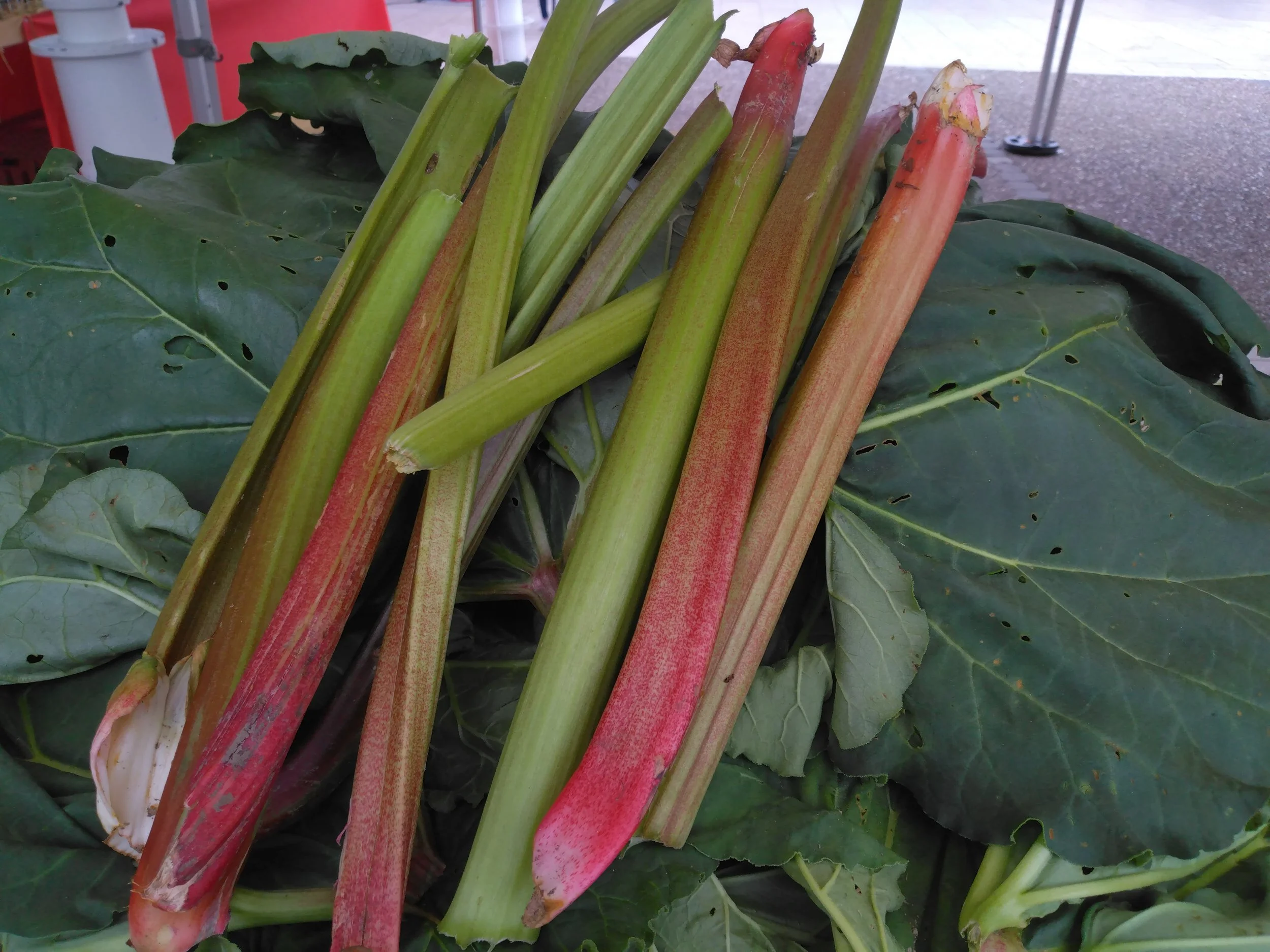 Rhubarbe (100gr) 7€/kg