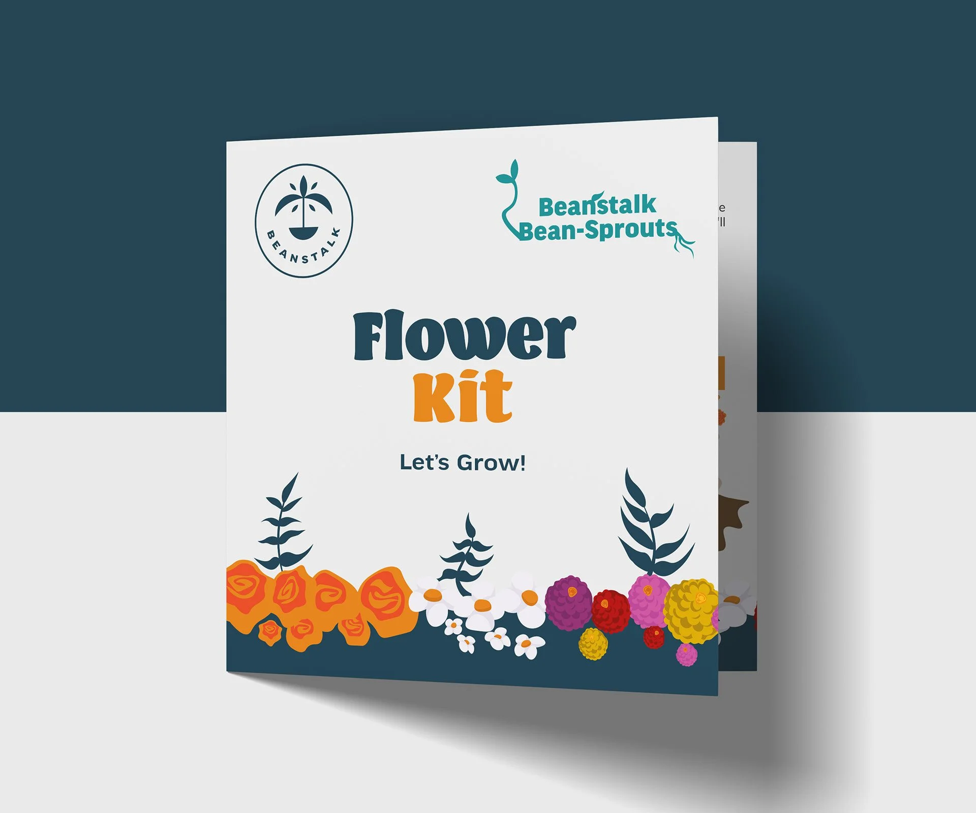 Flower Seed Kit Instruction Manual

A beautifully illustrated instruction manual created to guide customers through planting and caring for their flower seeds. The layout combines clear step-by-step information with custom botanical illustrations, en