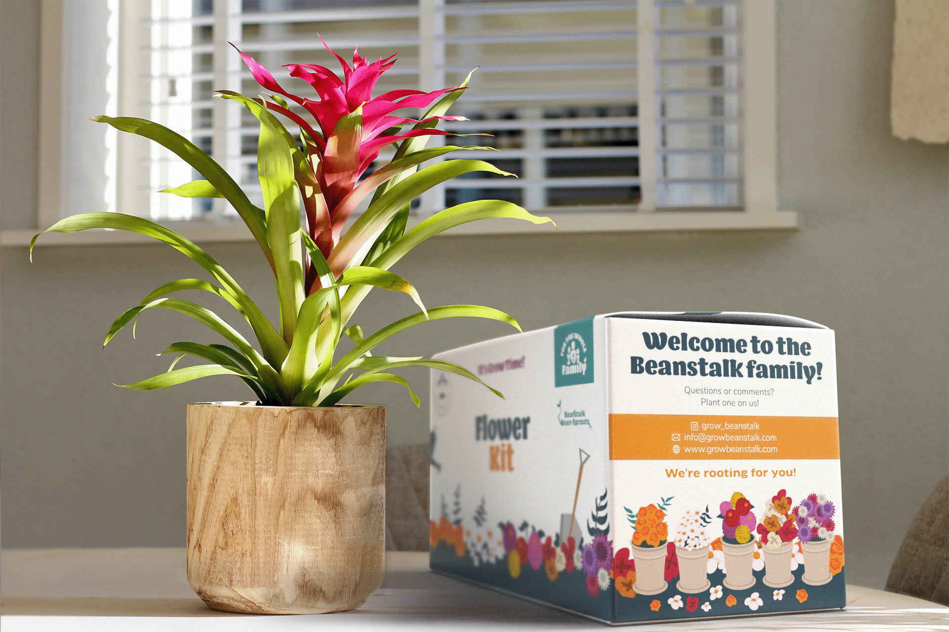 3D Product Visualization – Flower Seed Kit