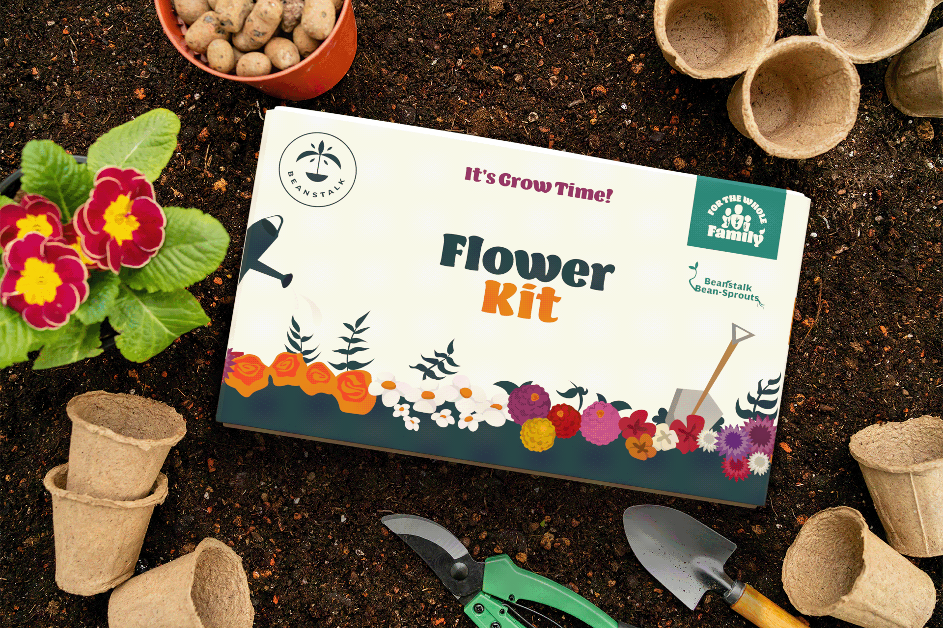 3D Product Visualization – Flower Seed Kit
