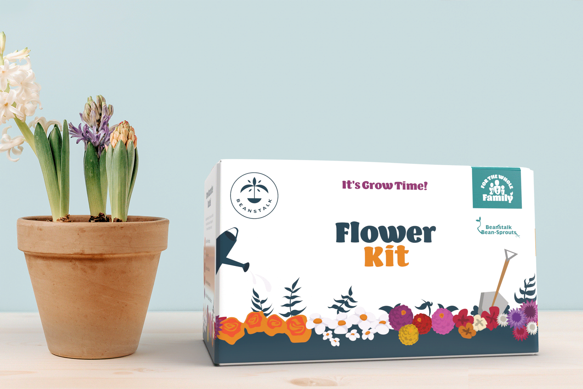 3D Product Visualization – Flower Seed Kit