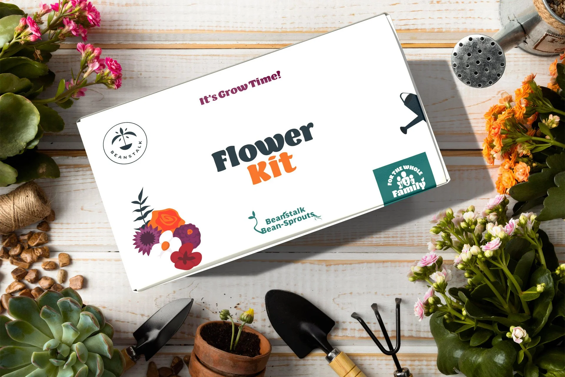 Flower Seed Kit Packaging

Packaging design created for Beanstalk's flower seed collection, combining hand-painted botanical illustrations with clean typography and an approachable visual identity that celebrates the joy of growing flowers at home.