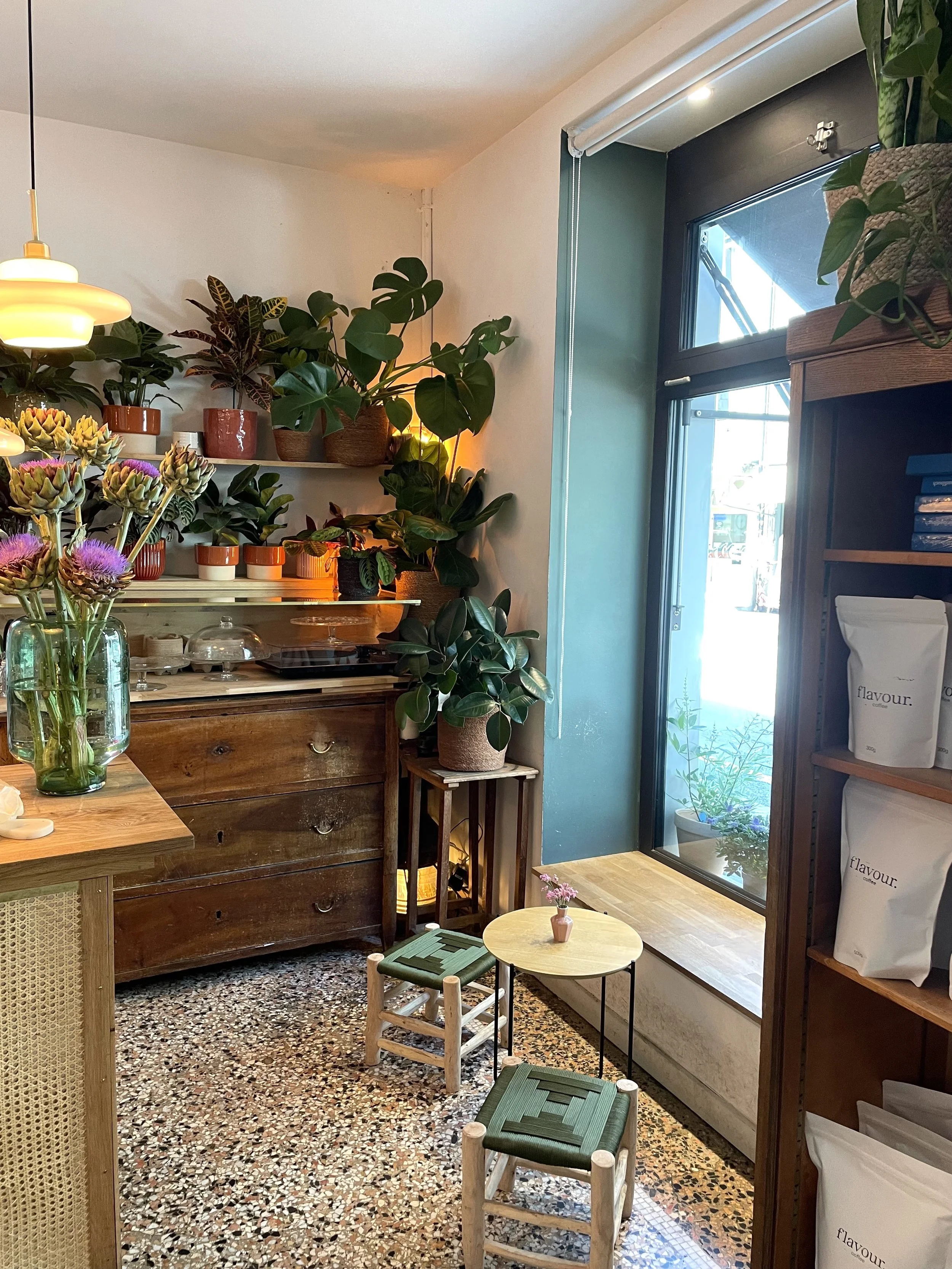 plants & coffee.jpg