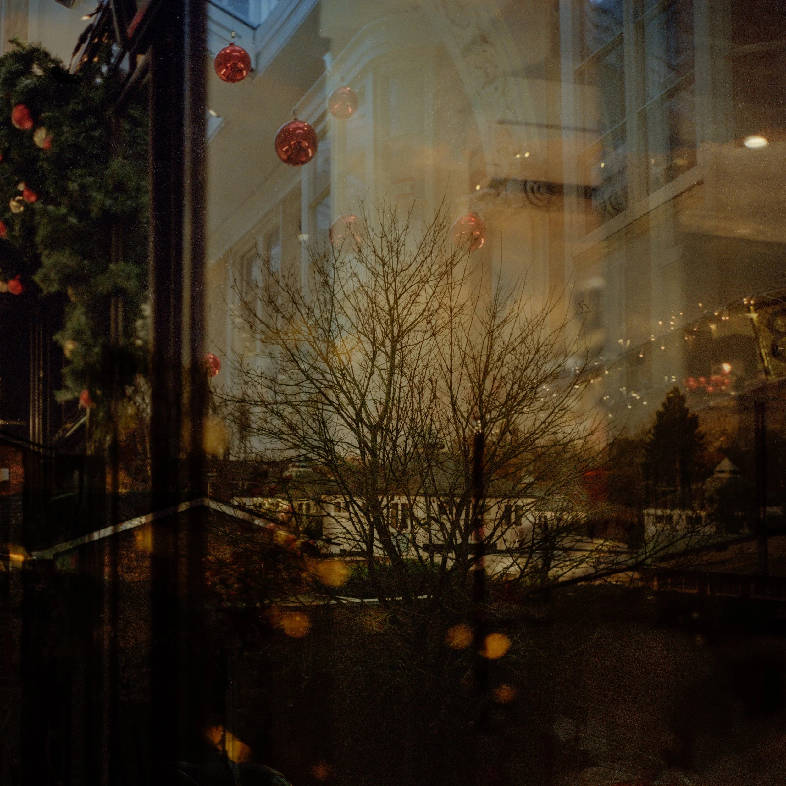 poetic dwelling-3.jpg