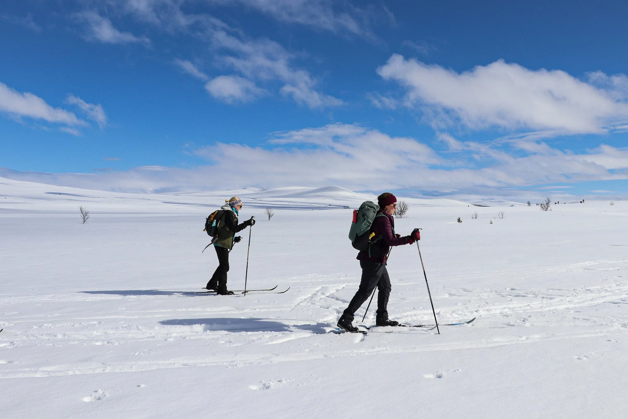 Venabu 2025-124 copy 2.jpg