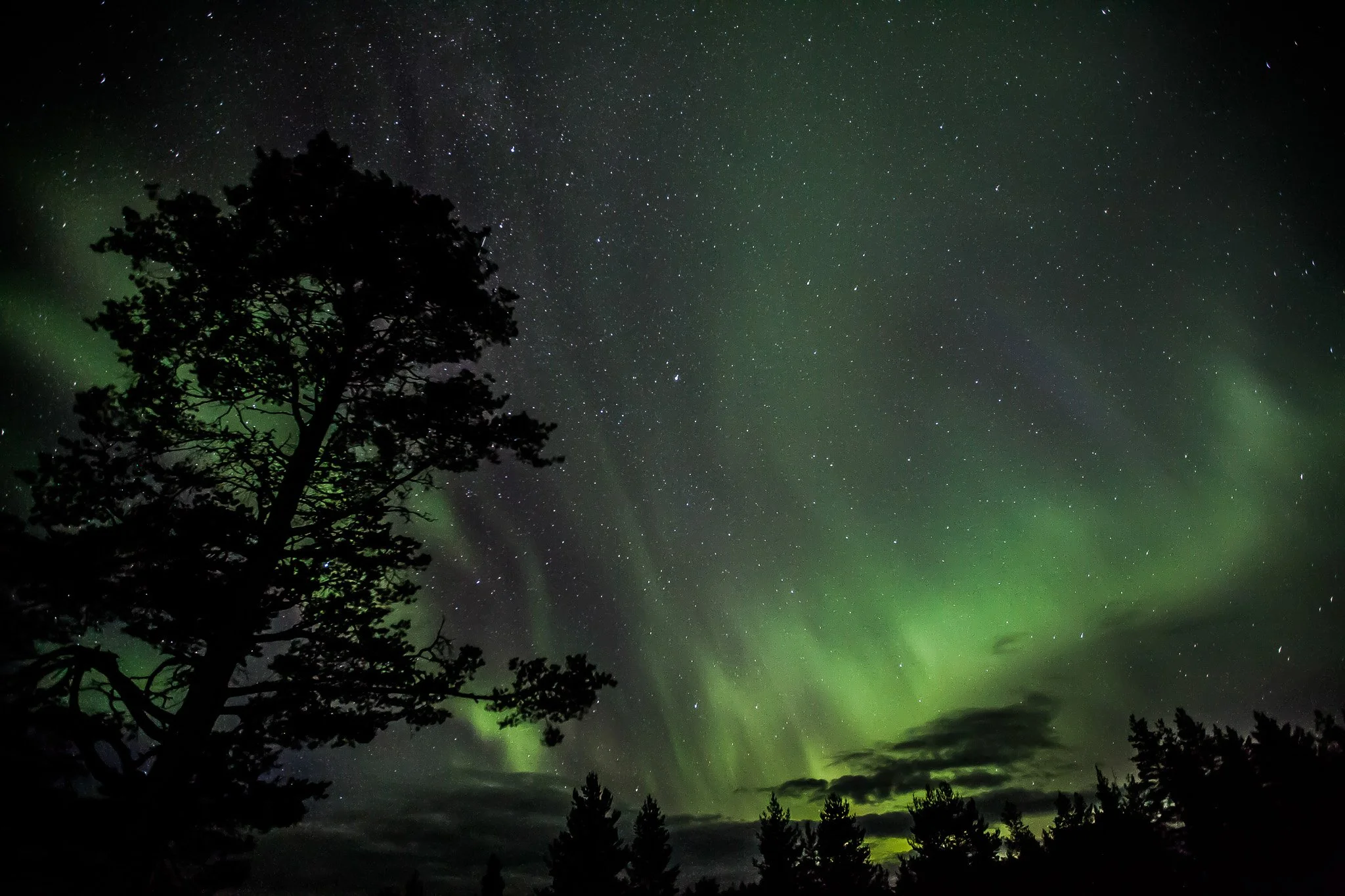 Stay on your own island September Wild Lapland (kopia 3).jpg