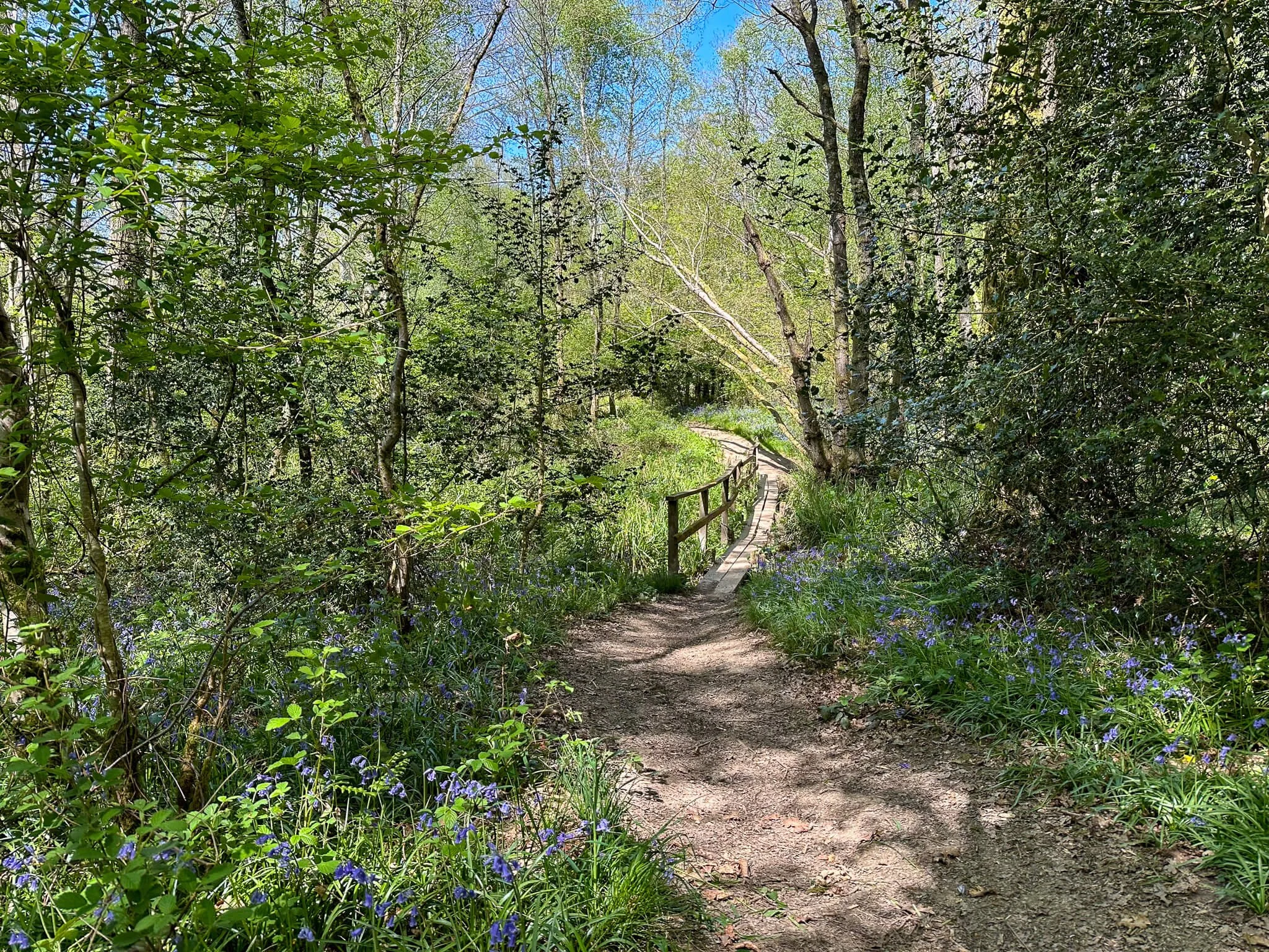 guided-adventure-london-uk.jpg