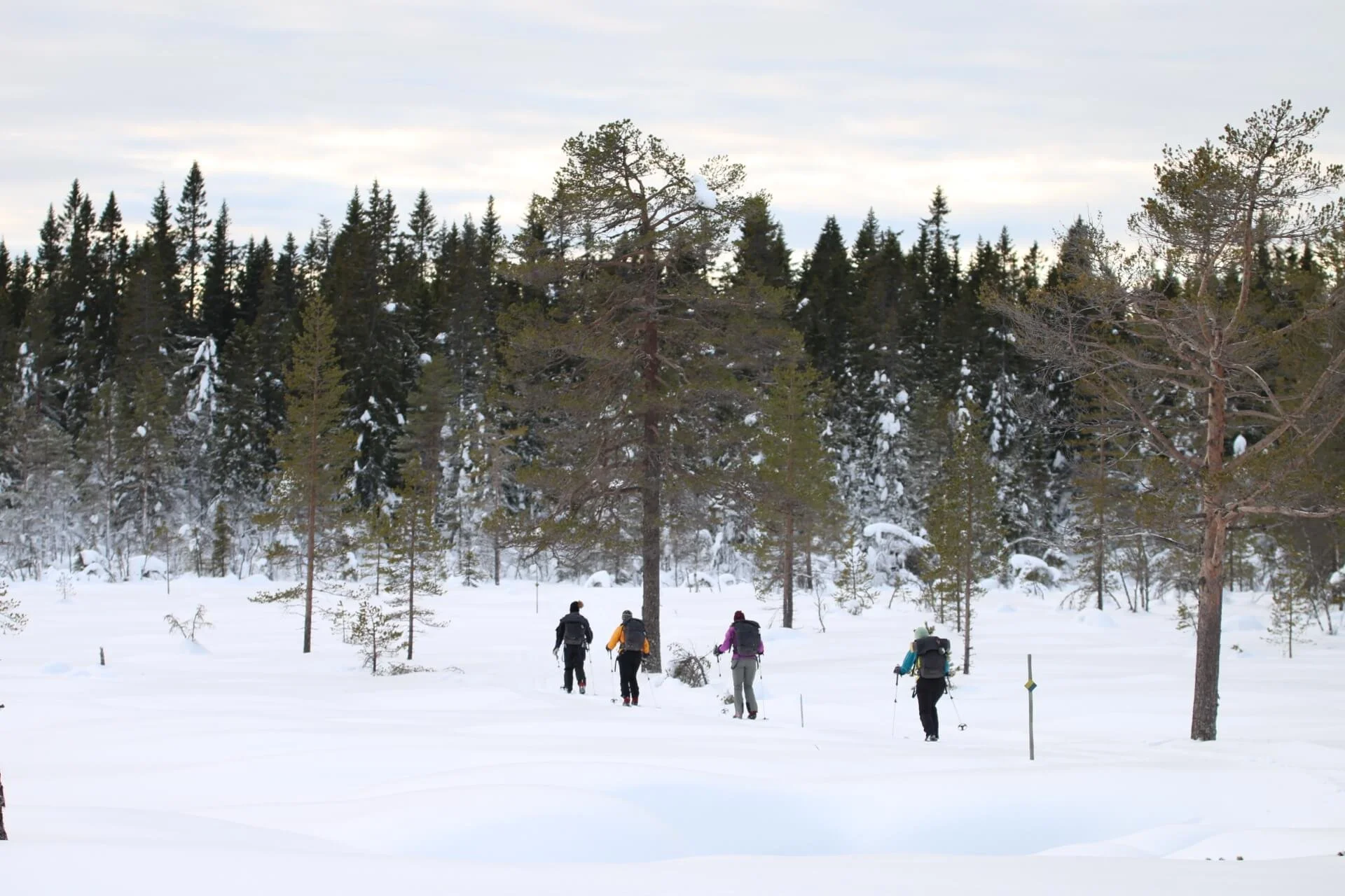 snowshoeing-expedition-backcountry-holiday.JPG