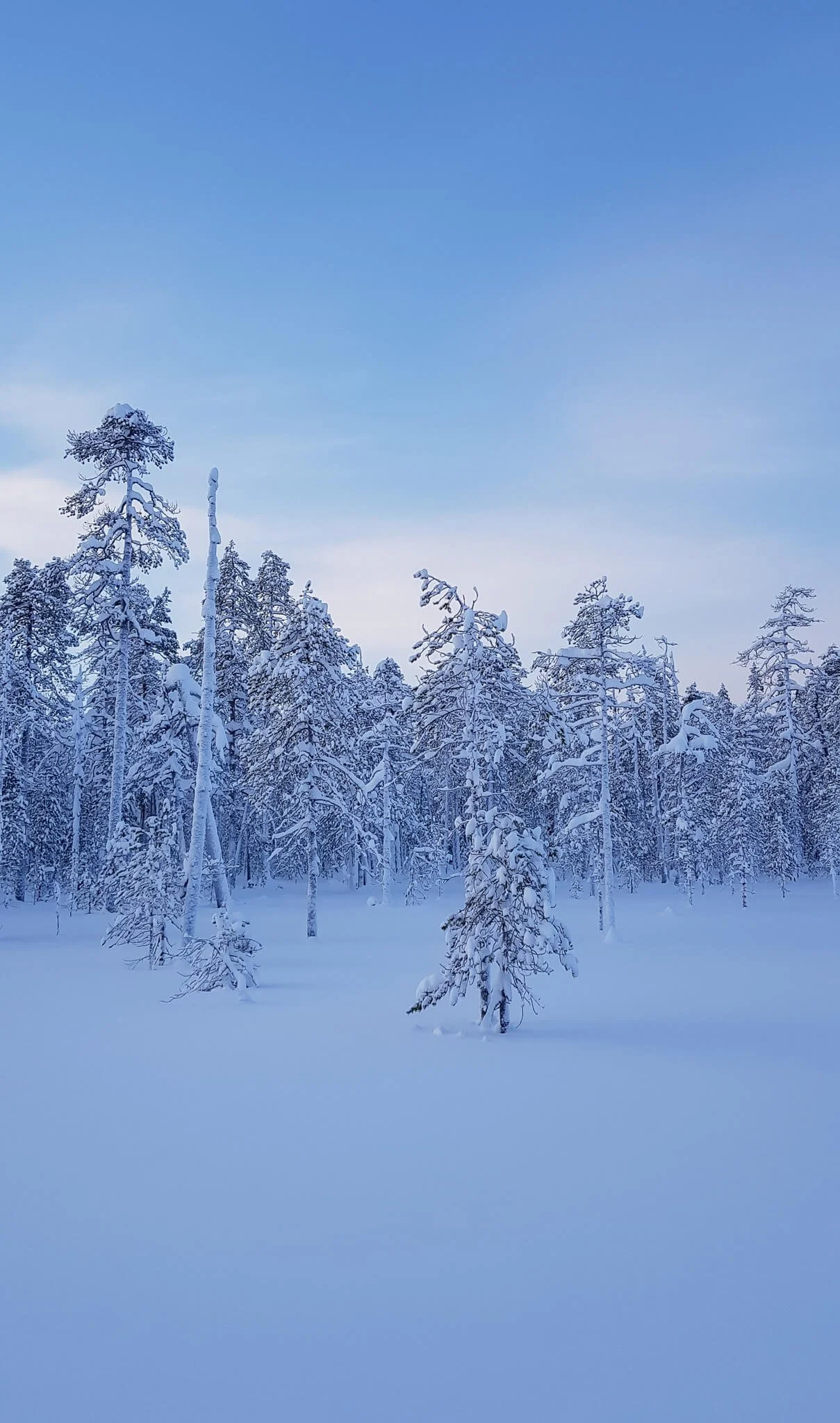 lapland-winter-hike-vacation.jpg