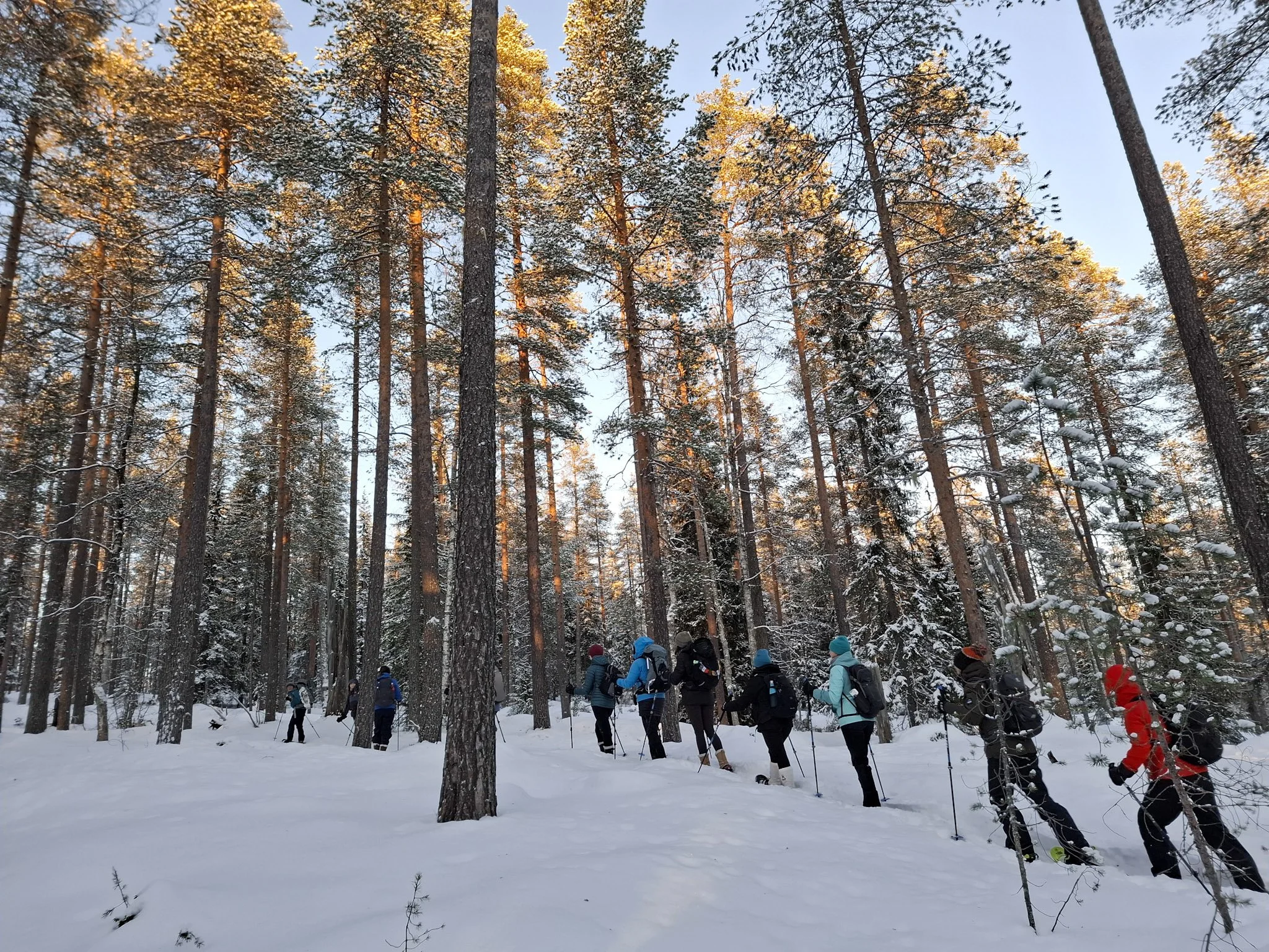 snowshoe-finland-wilderness.jpg