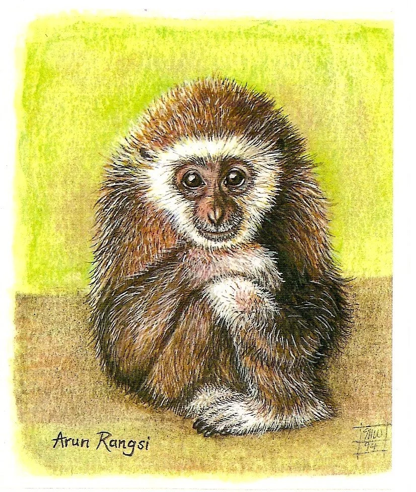 'ARUN RANGSI' (watercolour)