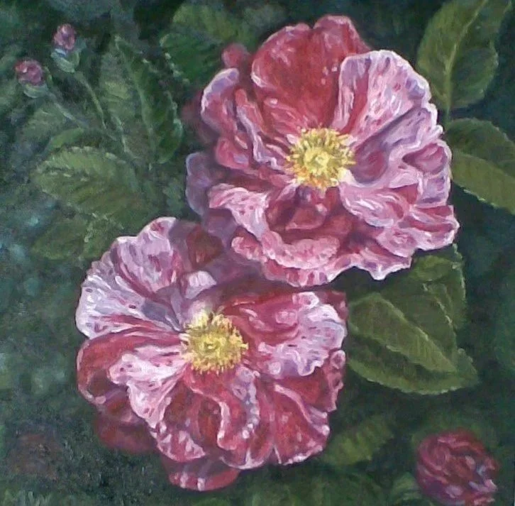 'PINK ROSES' (oil on canvas)