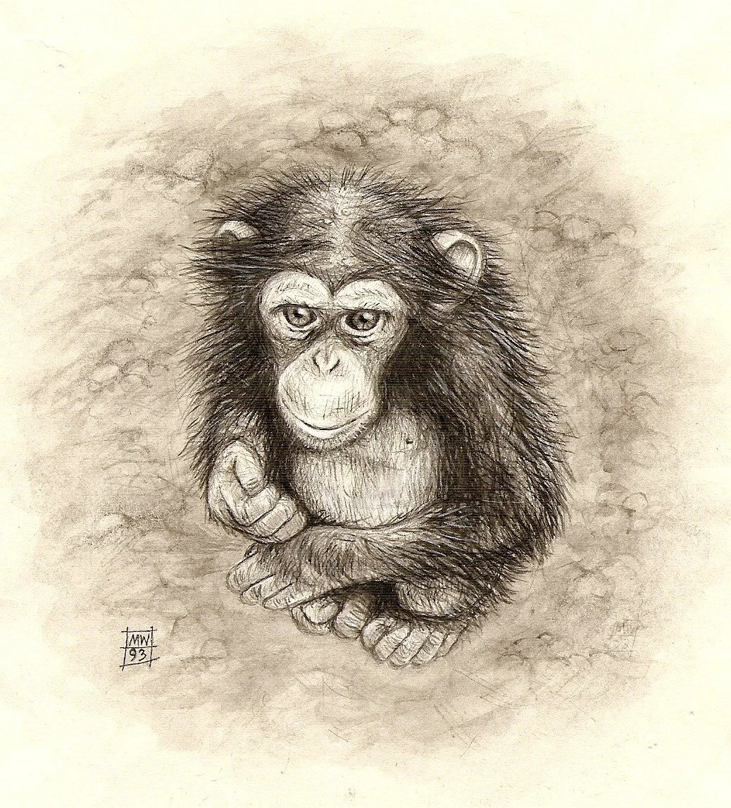 'PACO' (watercolour)