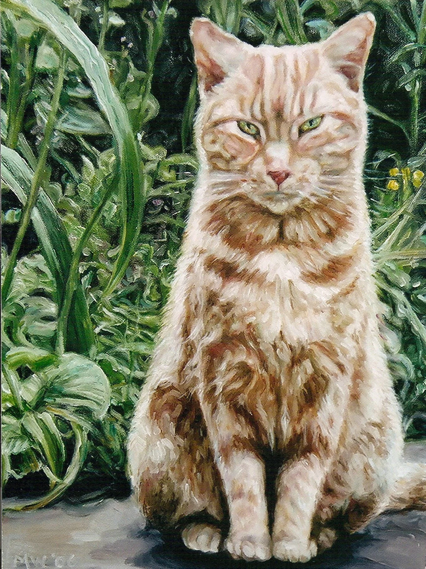 'YELLOW BELLY' (oil on canvas)