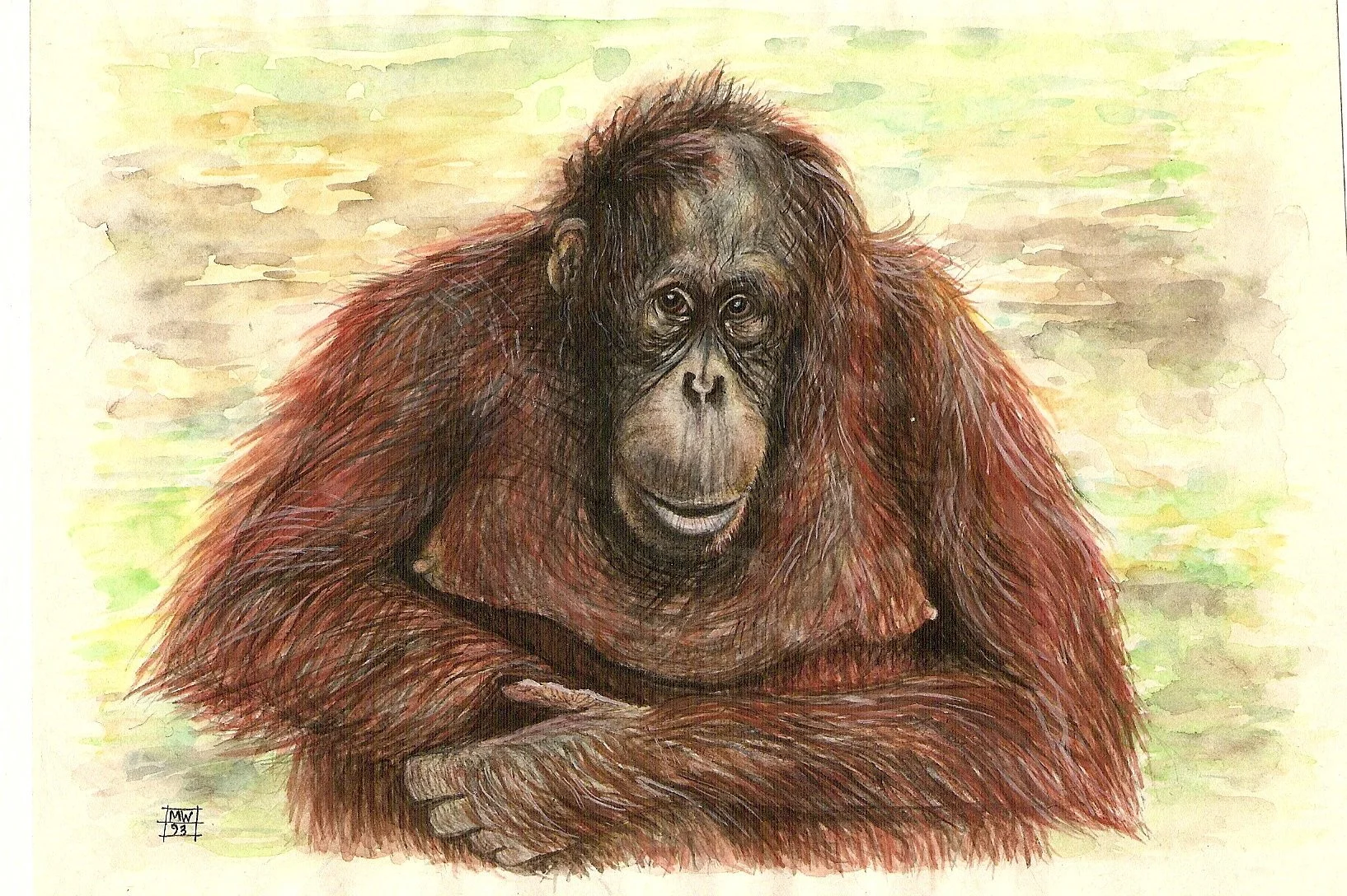 'CARLA' (watercolour)