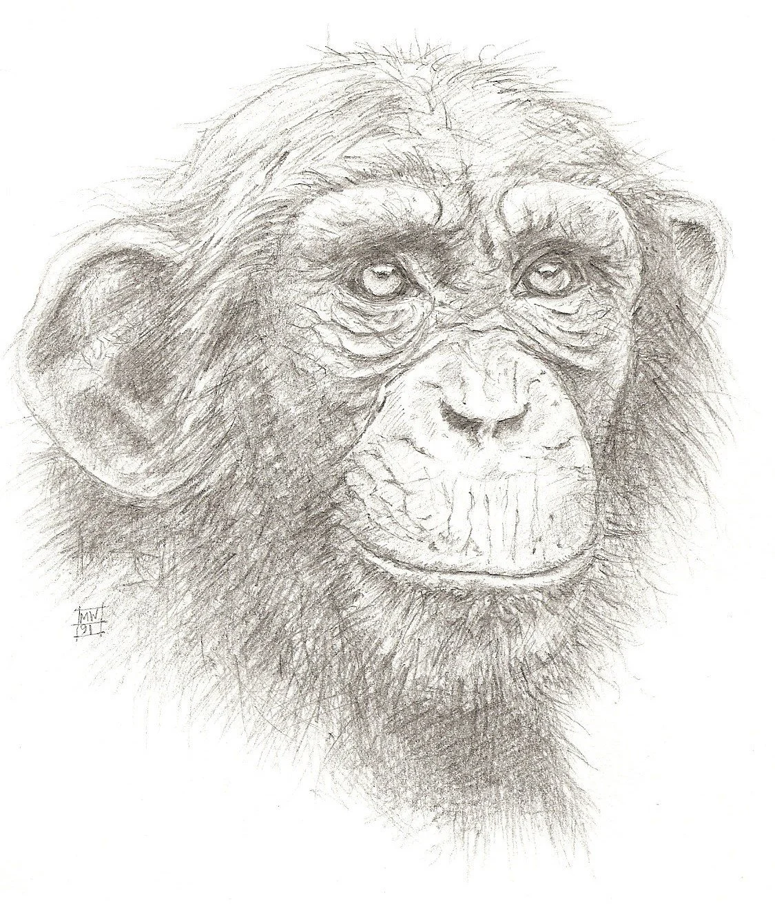 'CHICO' (pencil)