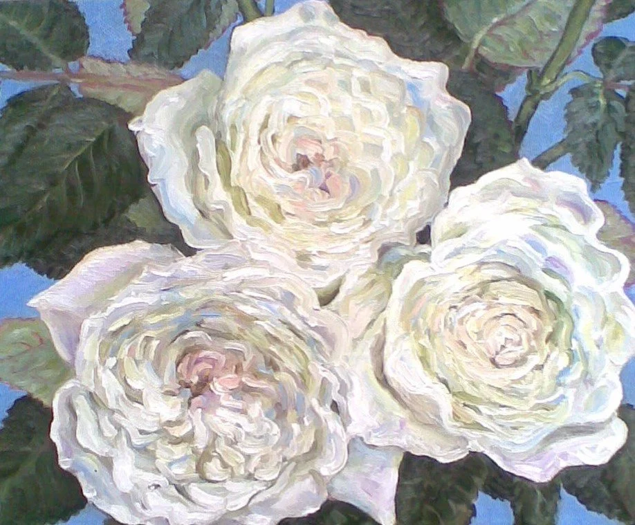 'WHITE ROSES' (oil on canvas)