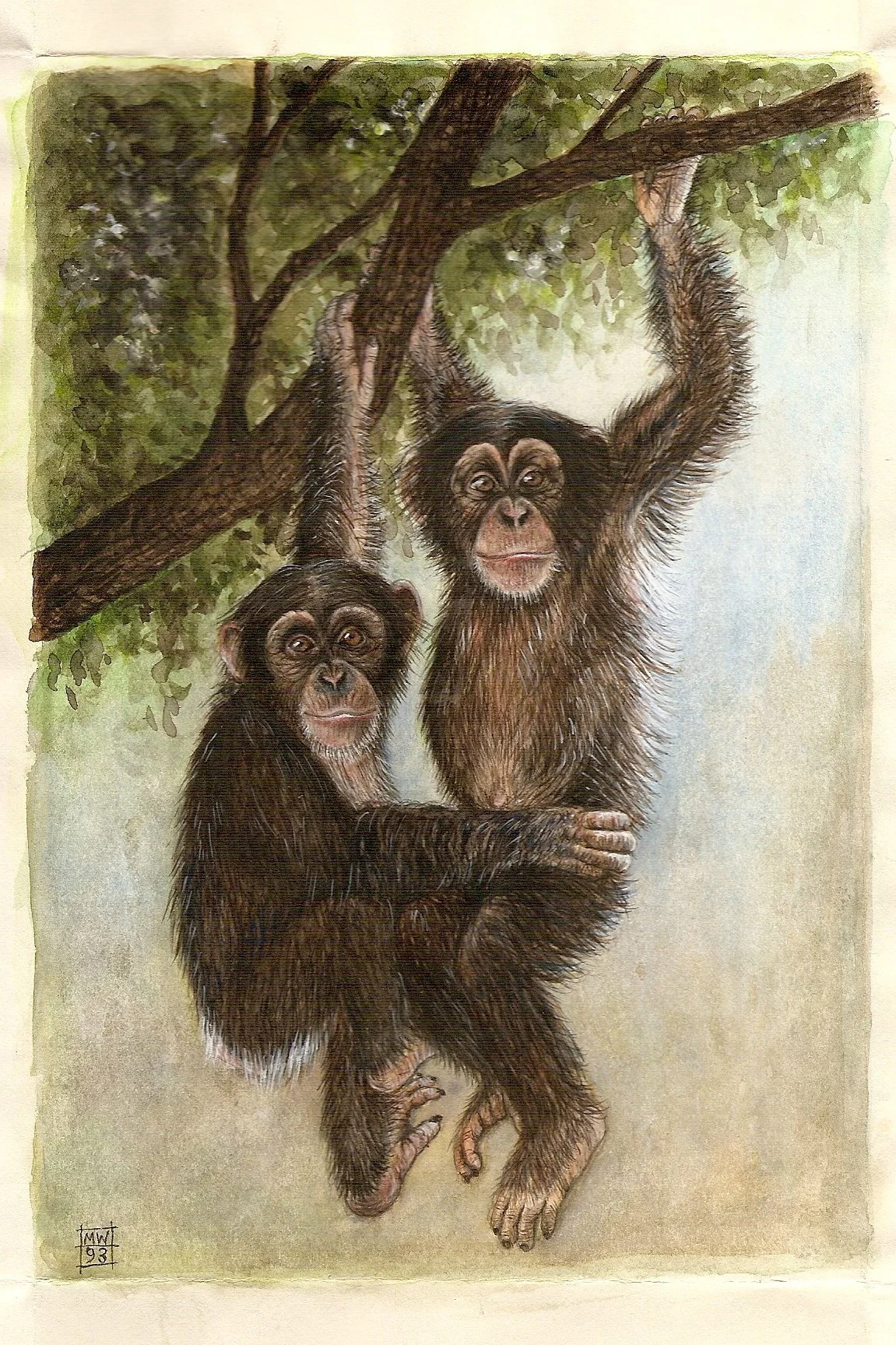 'CHERRY AND KAY' (watercolour)