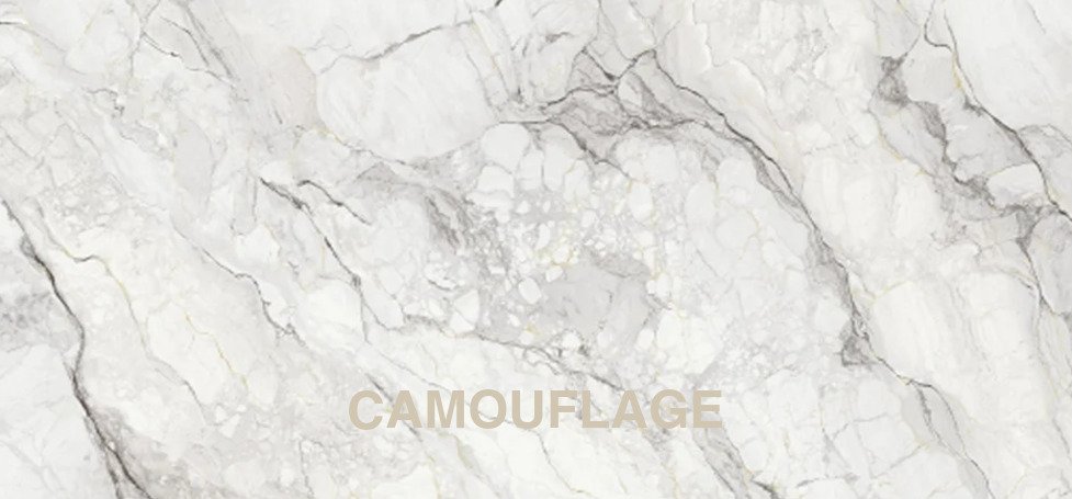 CAMOUFLAGE.jpg